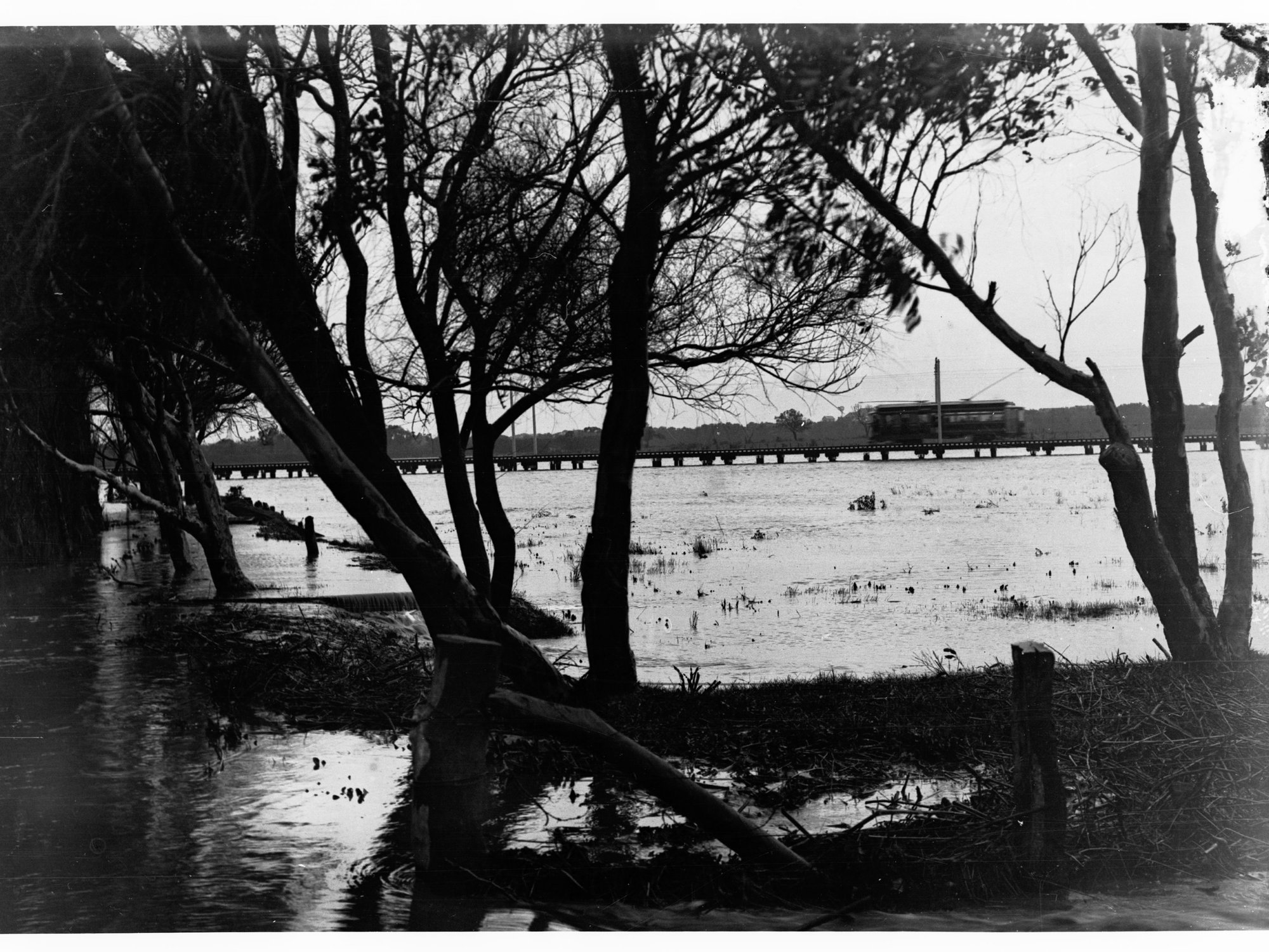 Viaduct on Henley Beach Tram Line at Lockleys