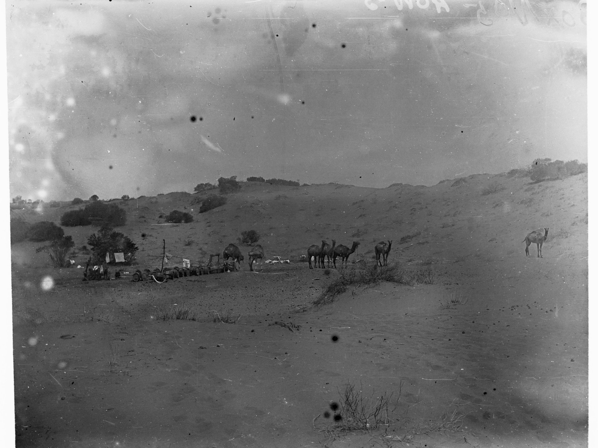 Camels, construction of East West Railway Line
