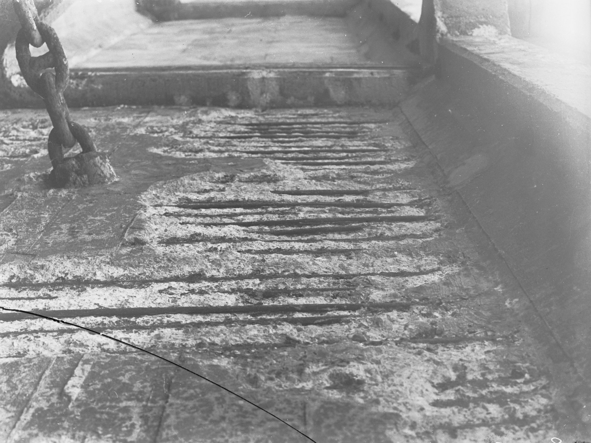 Sugar Company's wharf at Port Adelaide - underside of decking