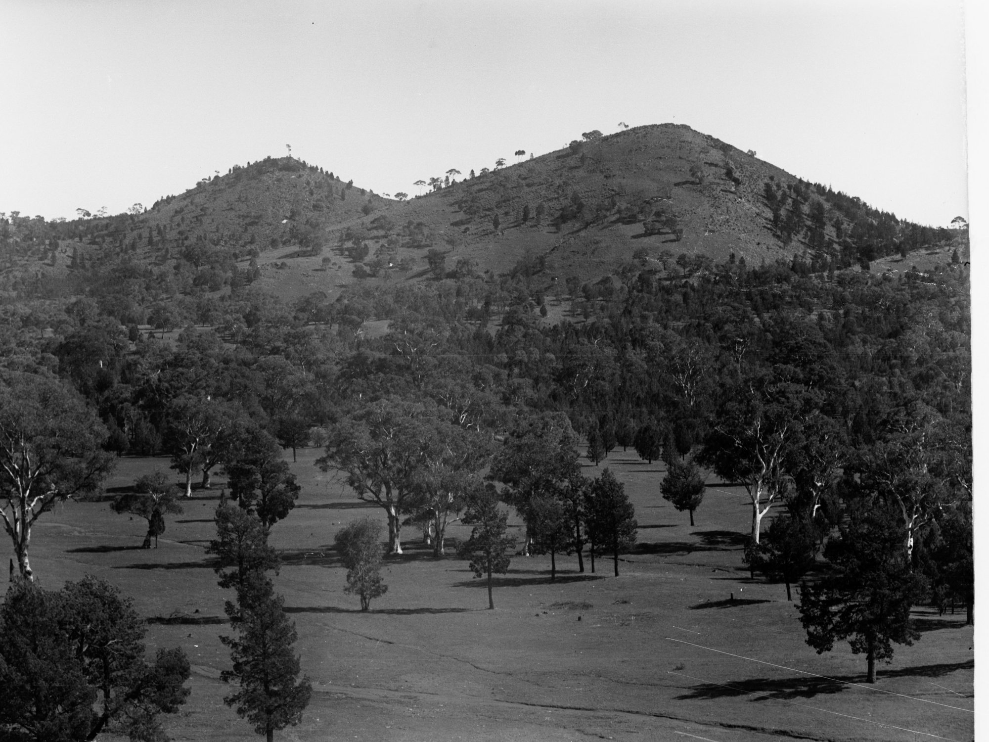 Foothills showing surrounding bush land