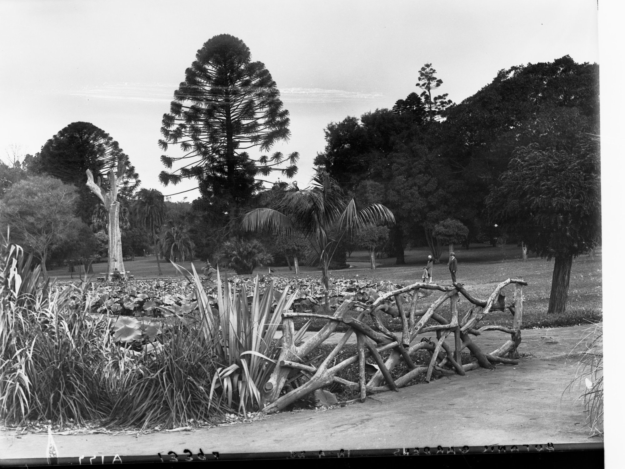 Botanic Gardens Adelaide