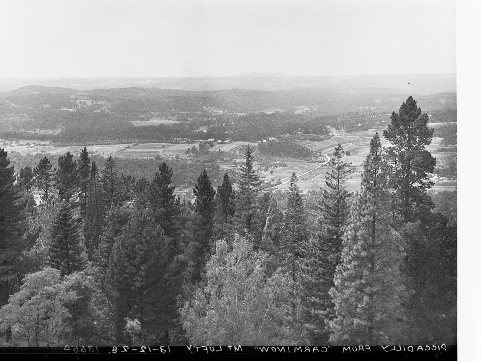 View of Piccadilly from 'Carminow' near Mount Lofty