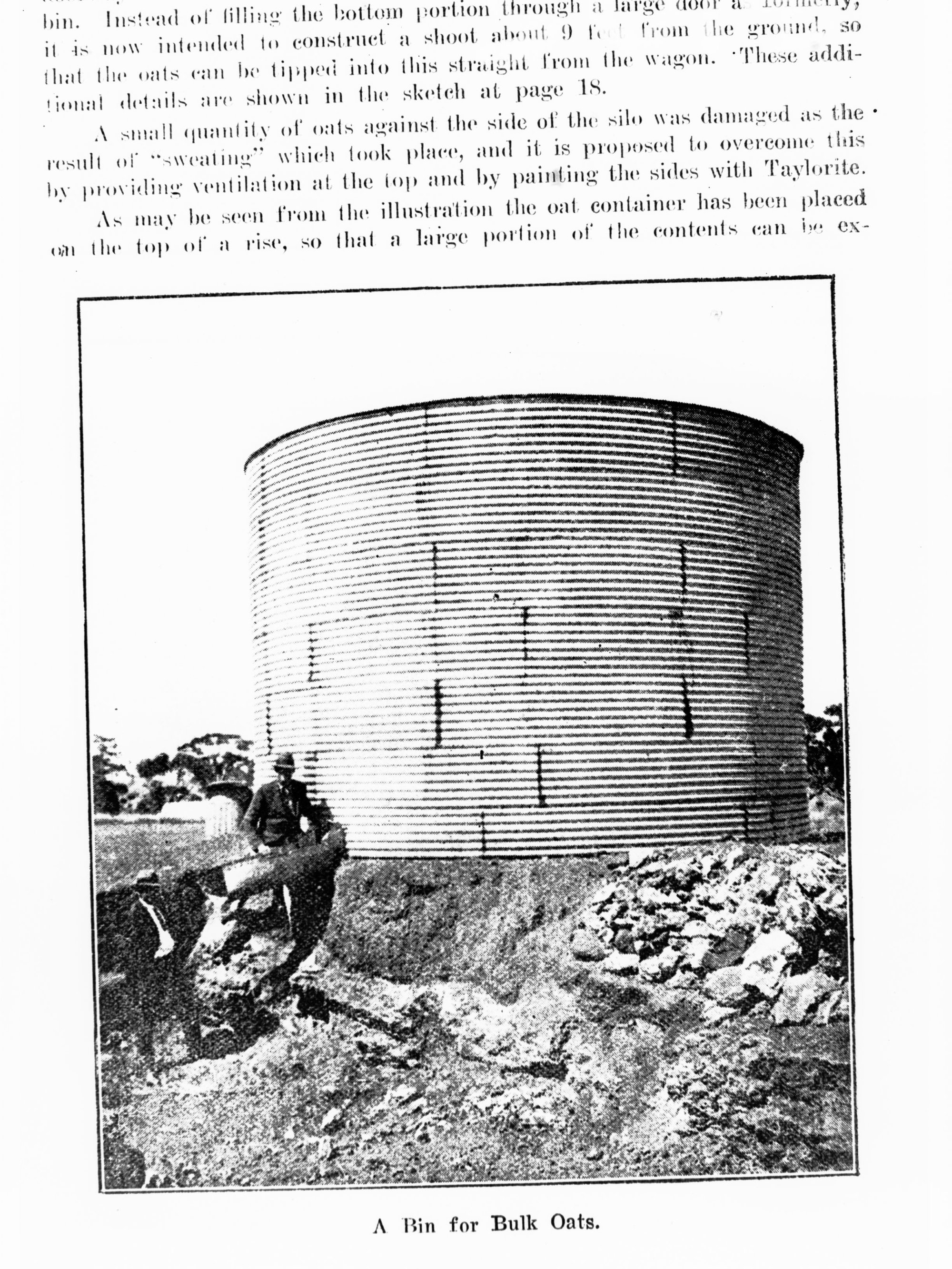 A Bin for Bulk Oats (Western Australia) - Journal of Agriculture, WA