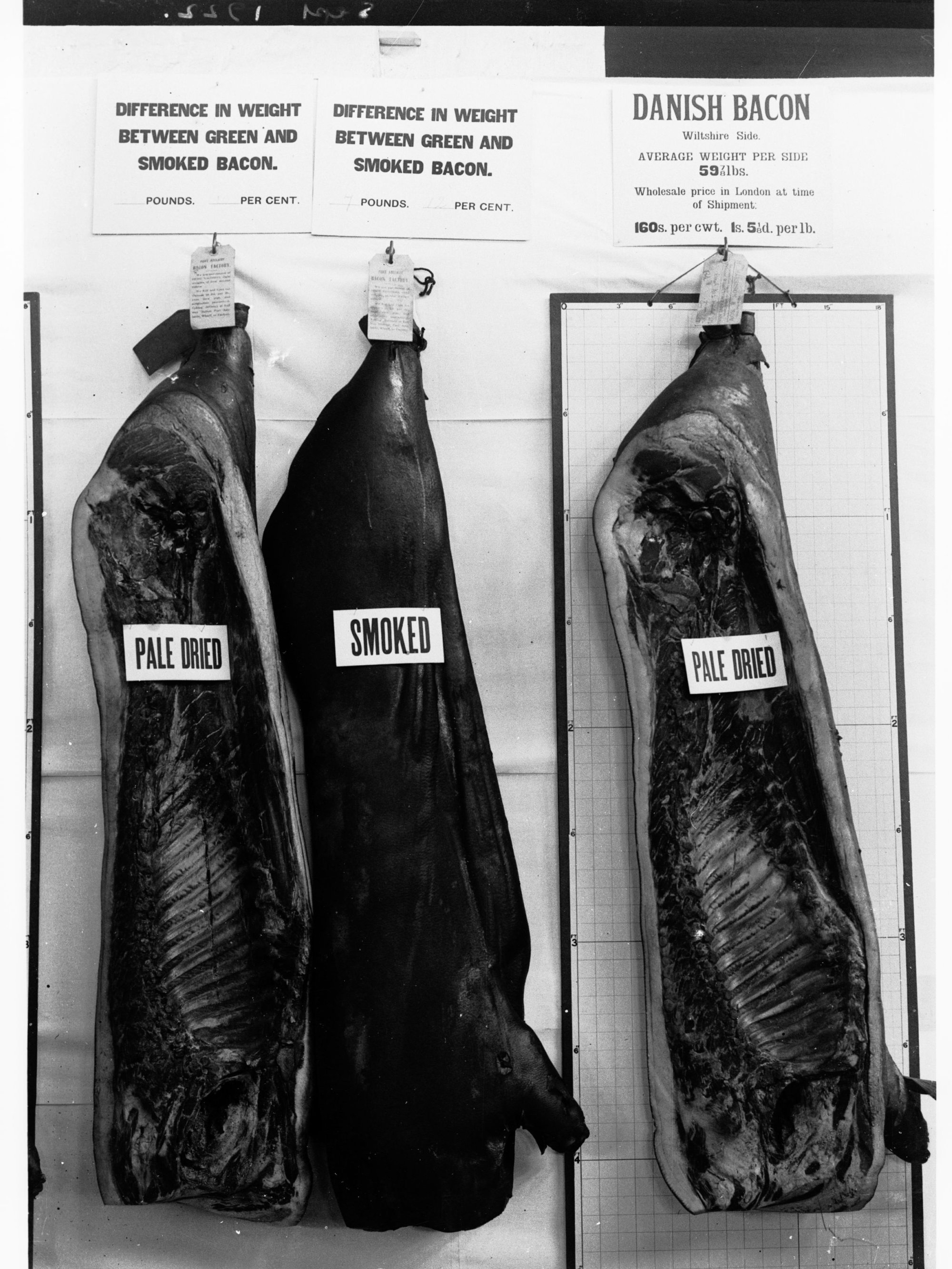 Sides of Bacon exhibited at the Royal Adelaide Show