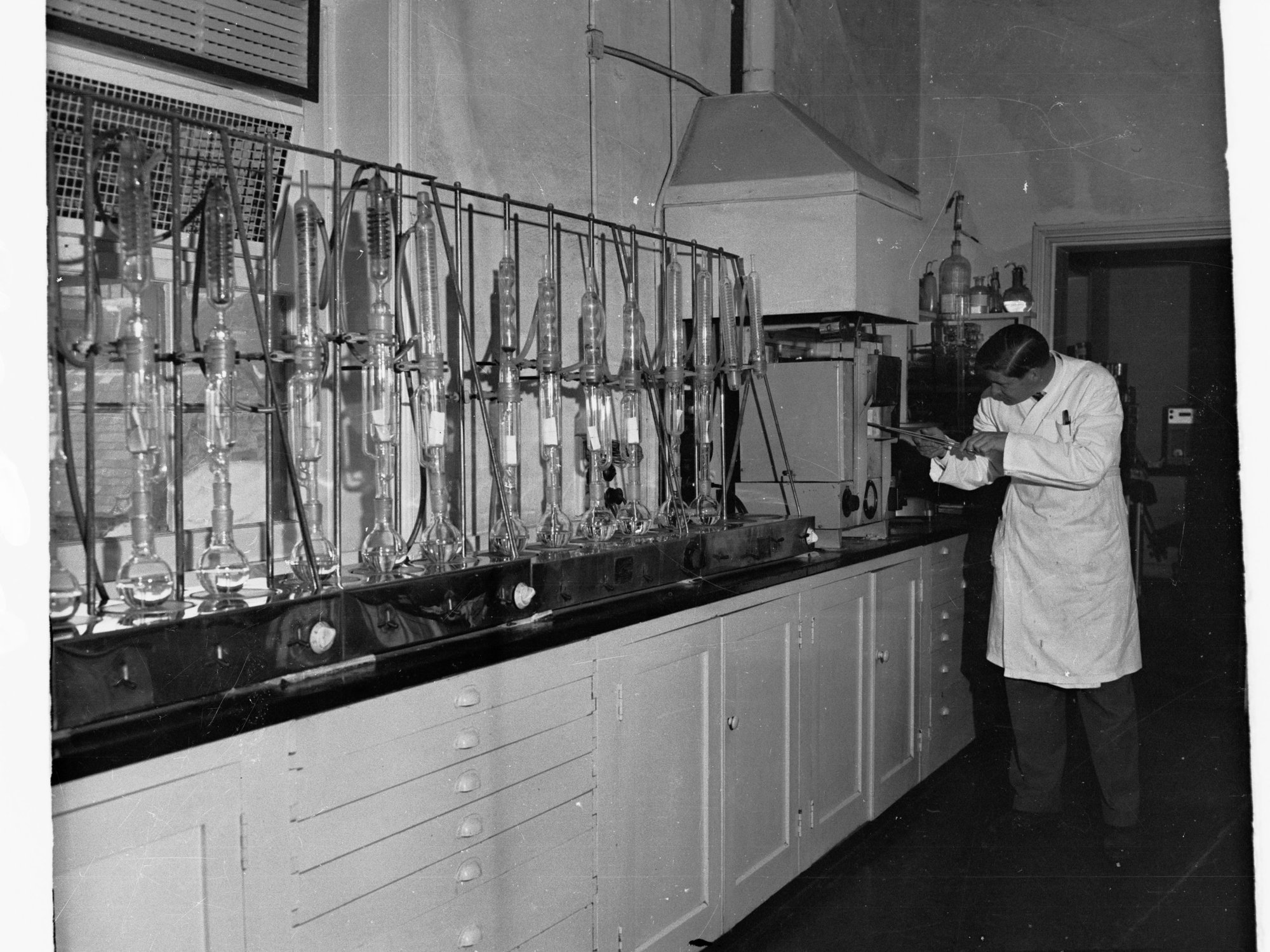 Scientist Working in a Laboratory