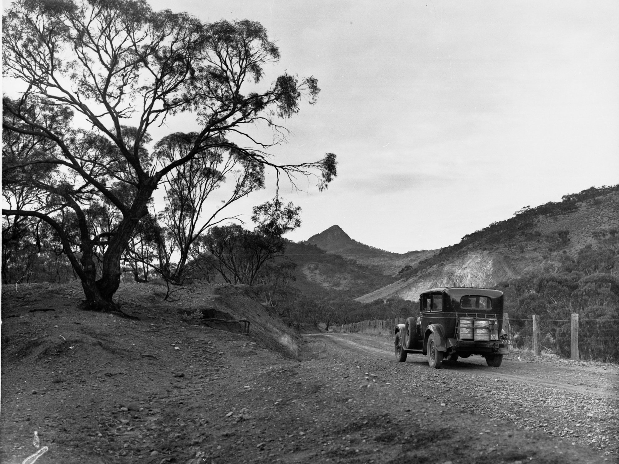 Pichi Richi Pass Flinders Showing Devils Peak