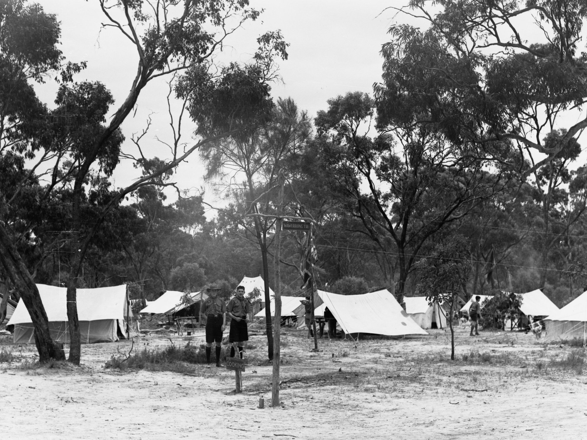 Boy scouts' camp at Belair