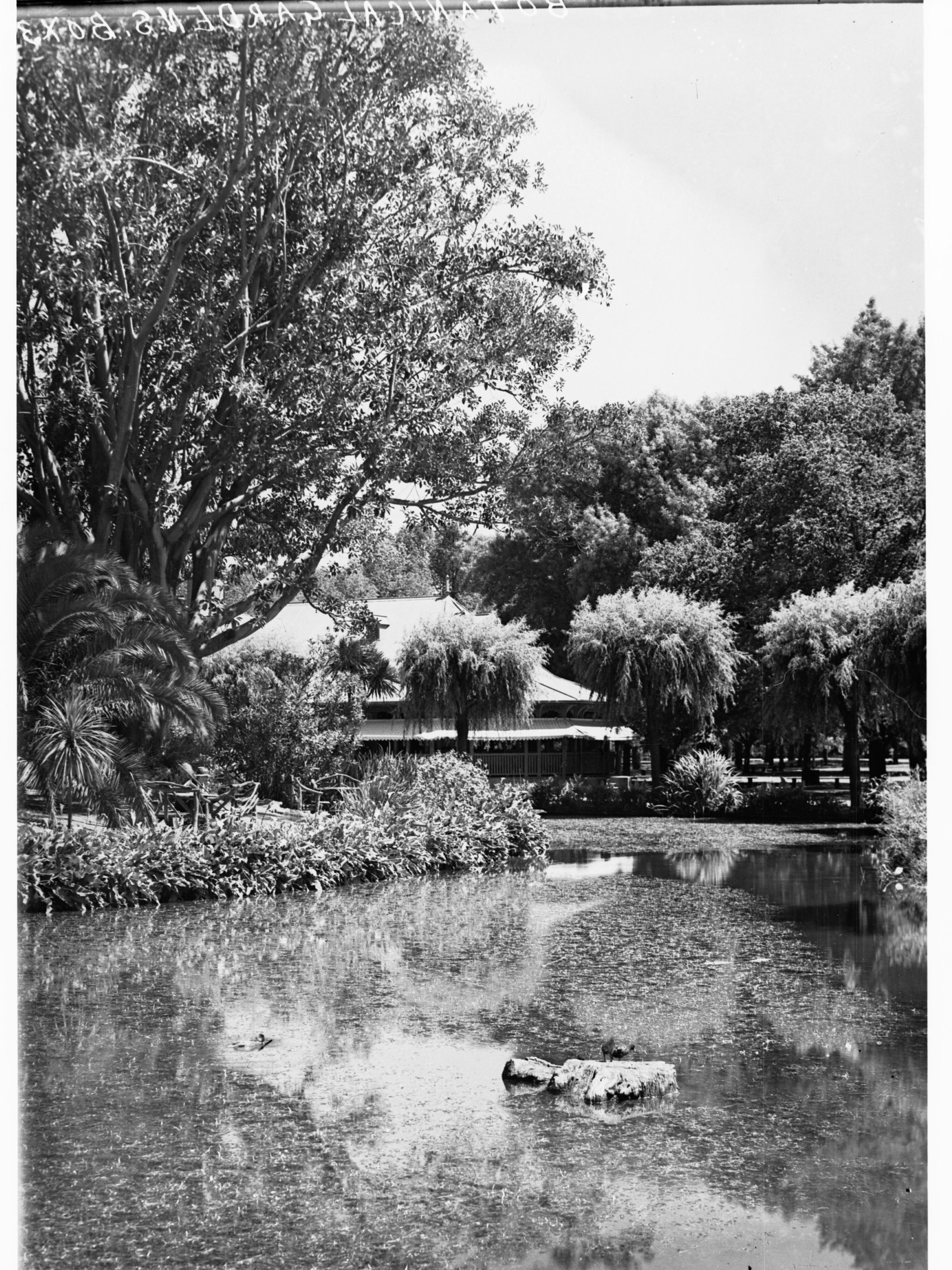 Botanic Gardens, hot house exterior