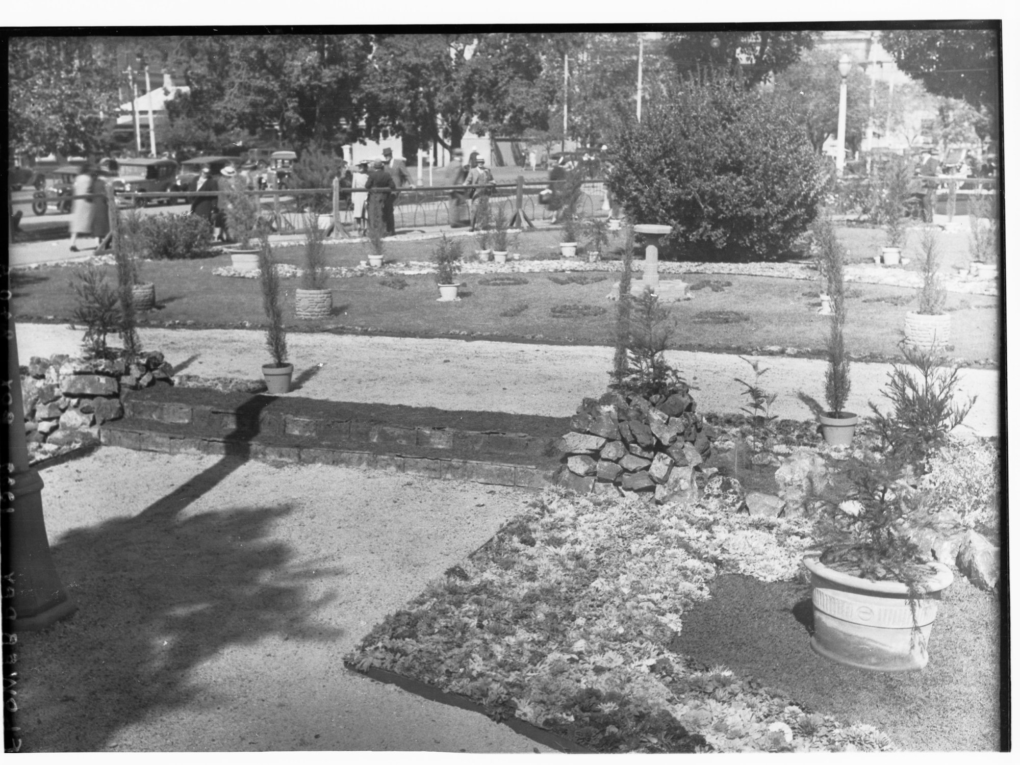 Flower Day Floral Display