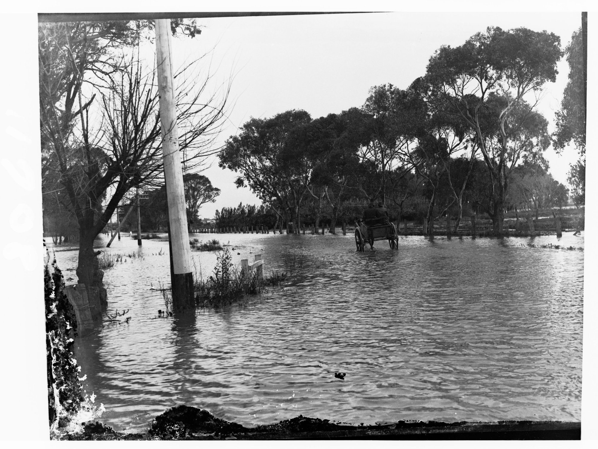 Horse and carriage on a road during floods