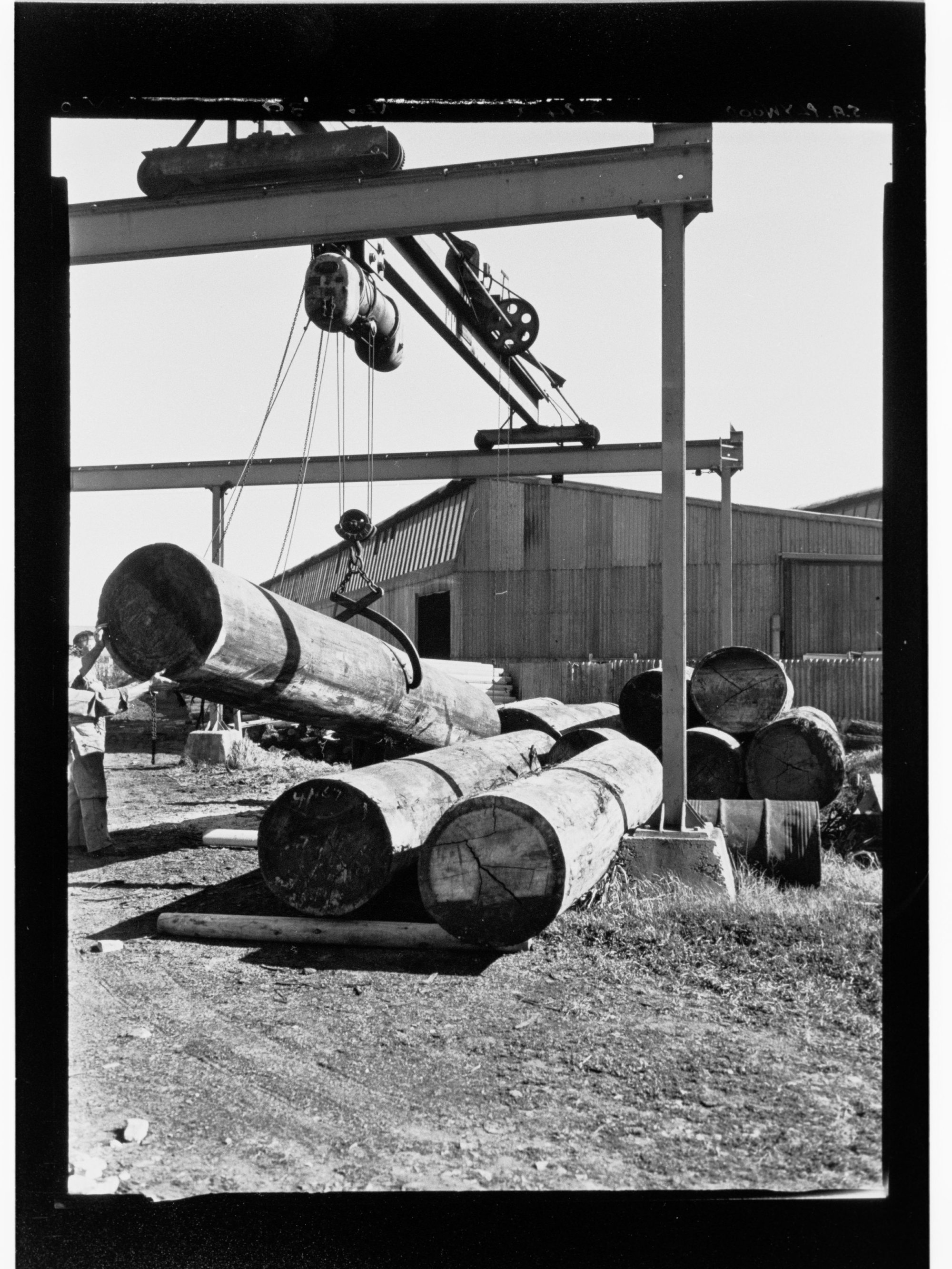 S.A. Plywoods - machine being used to lift logs