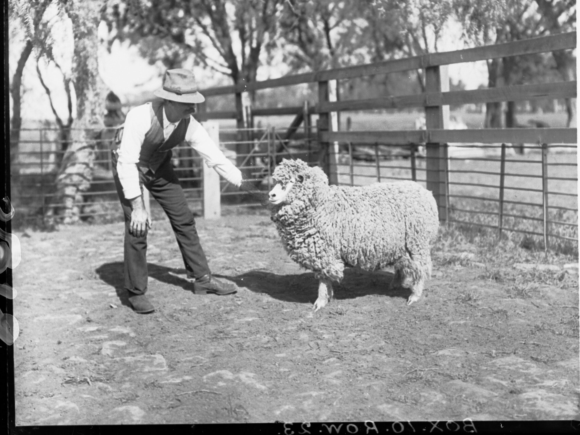 Man with a sheep taken at level crossing