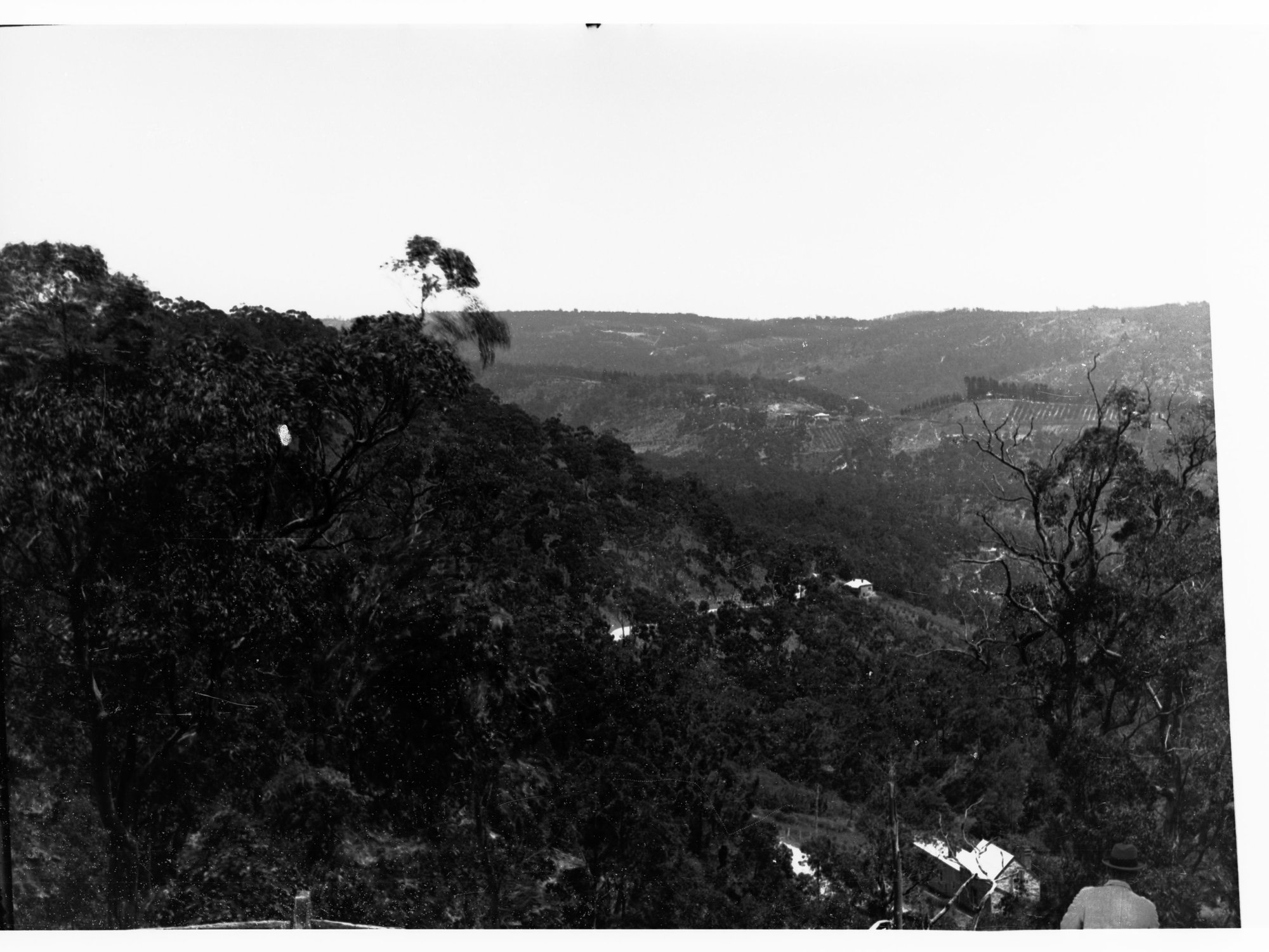 View of Basket Range