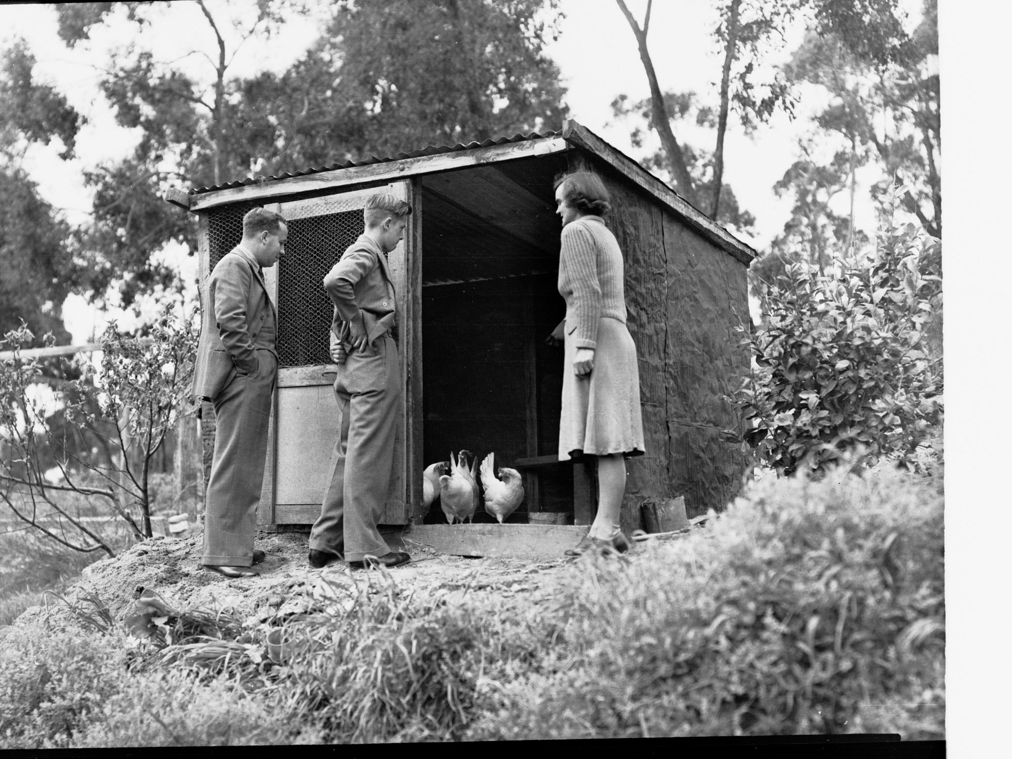 Oakbank Area School Teachers Looking at Chickens