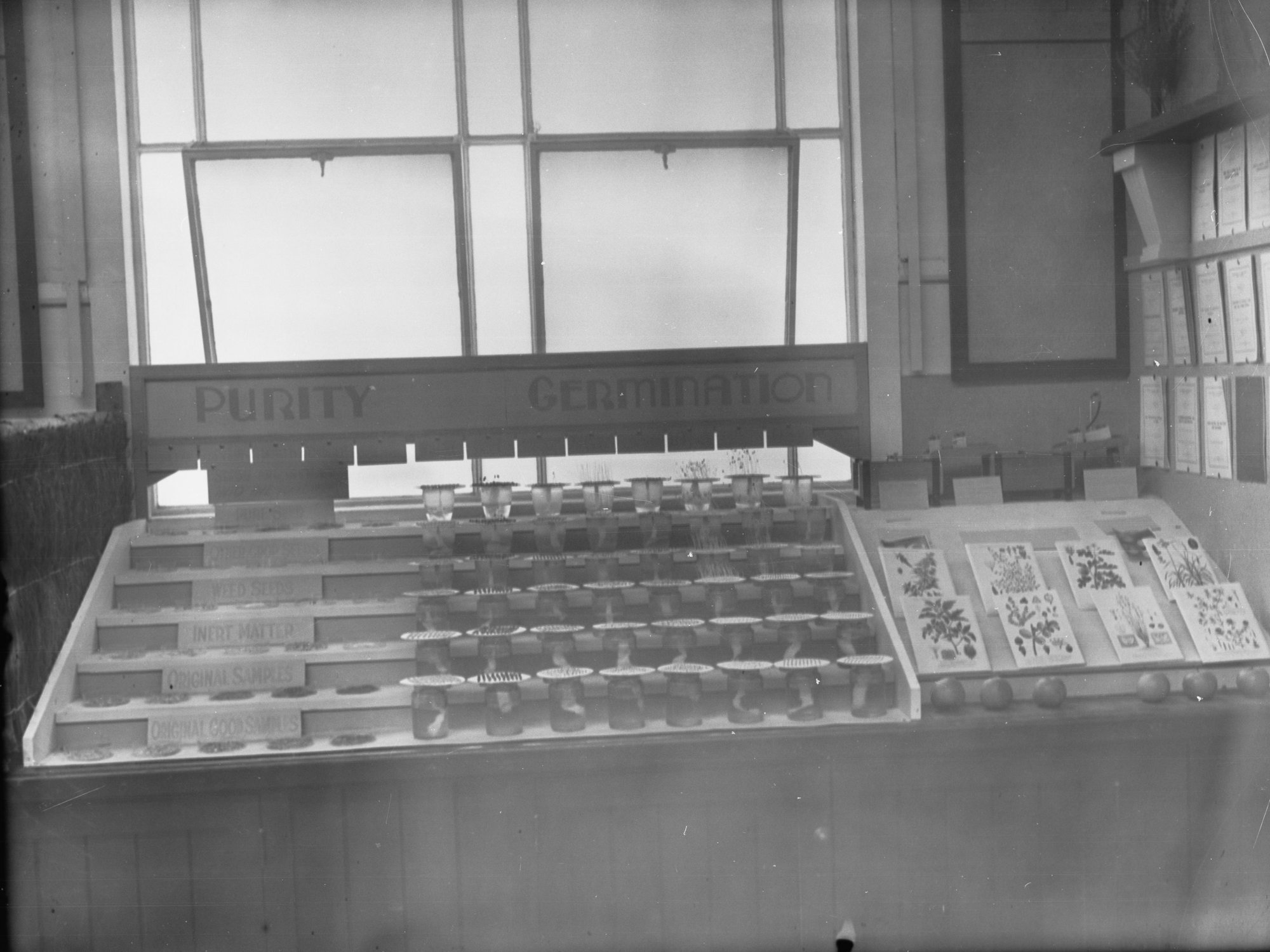 Exhibition on plants with germs and without germs