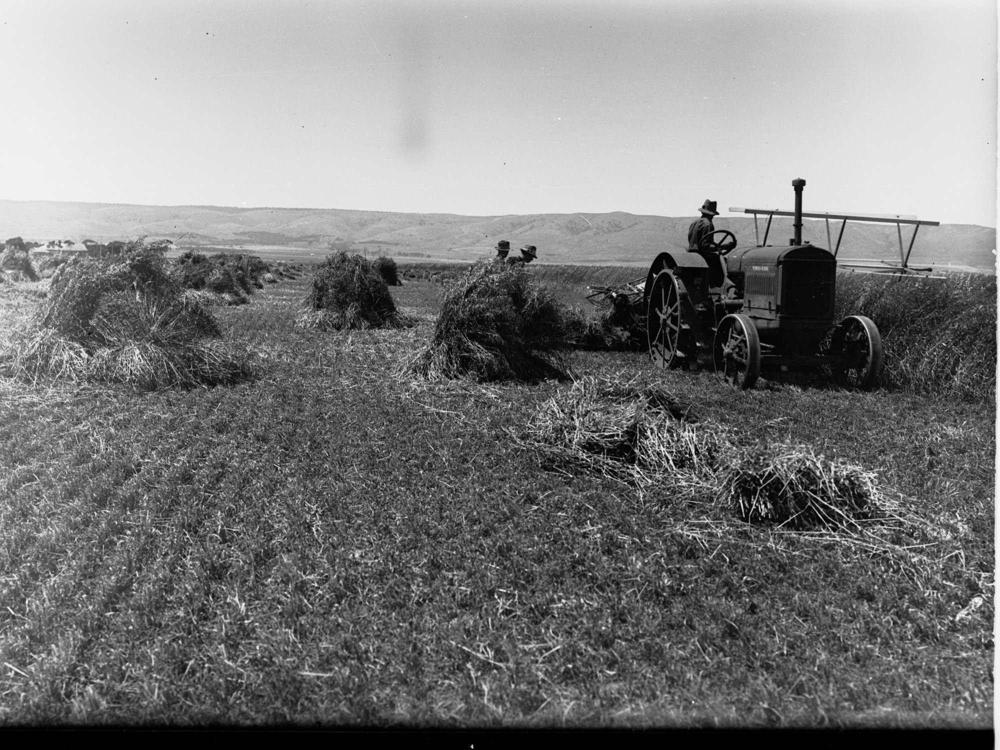Hay Making at Aldinga