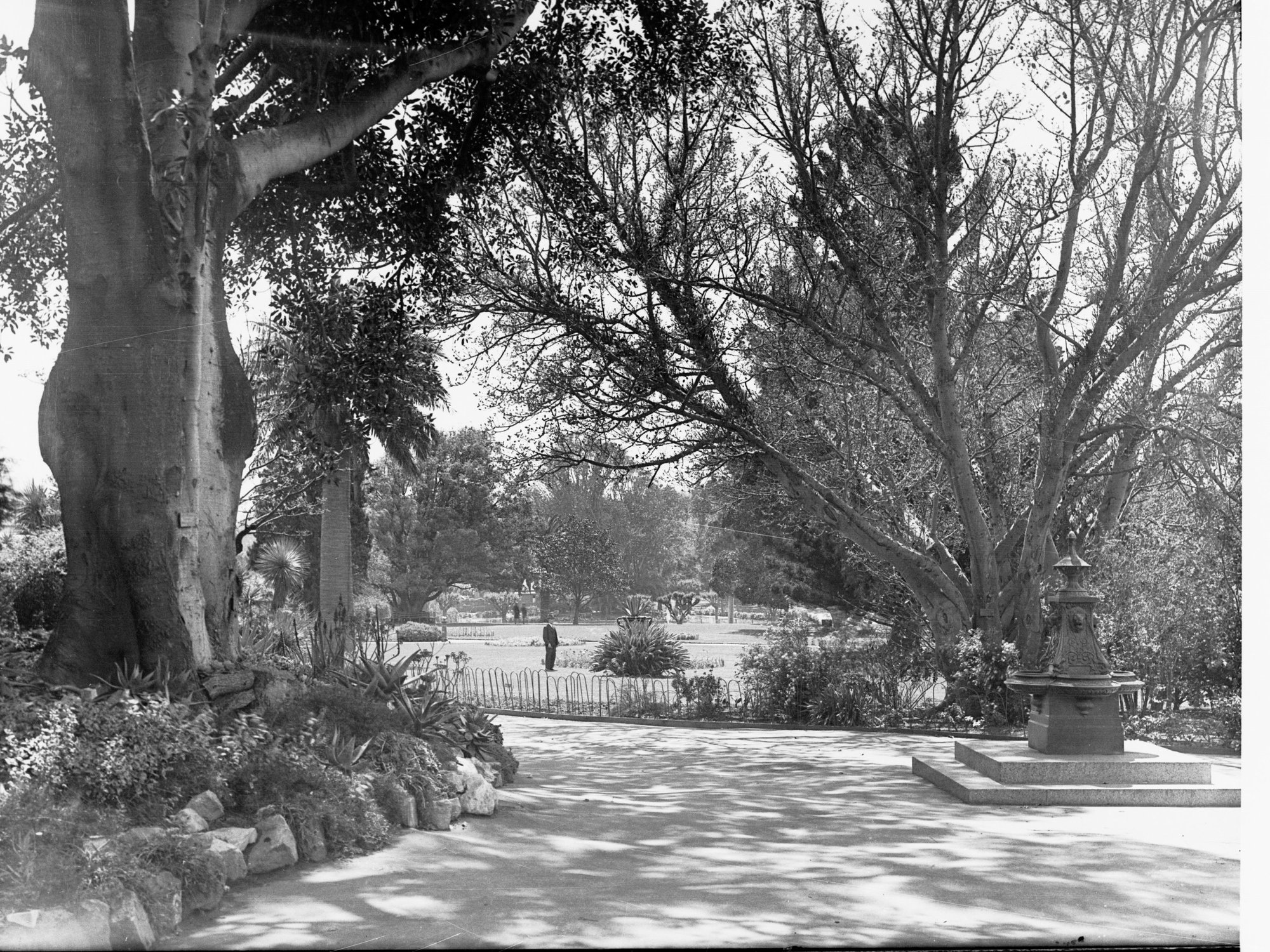 Botanic Gardens Adelaide
