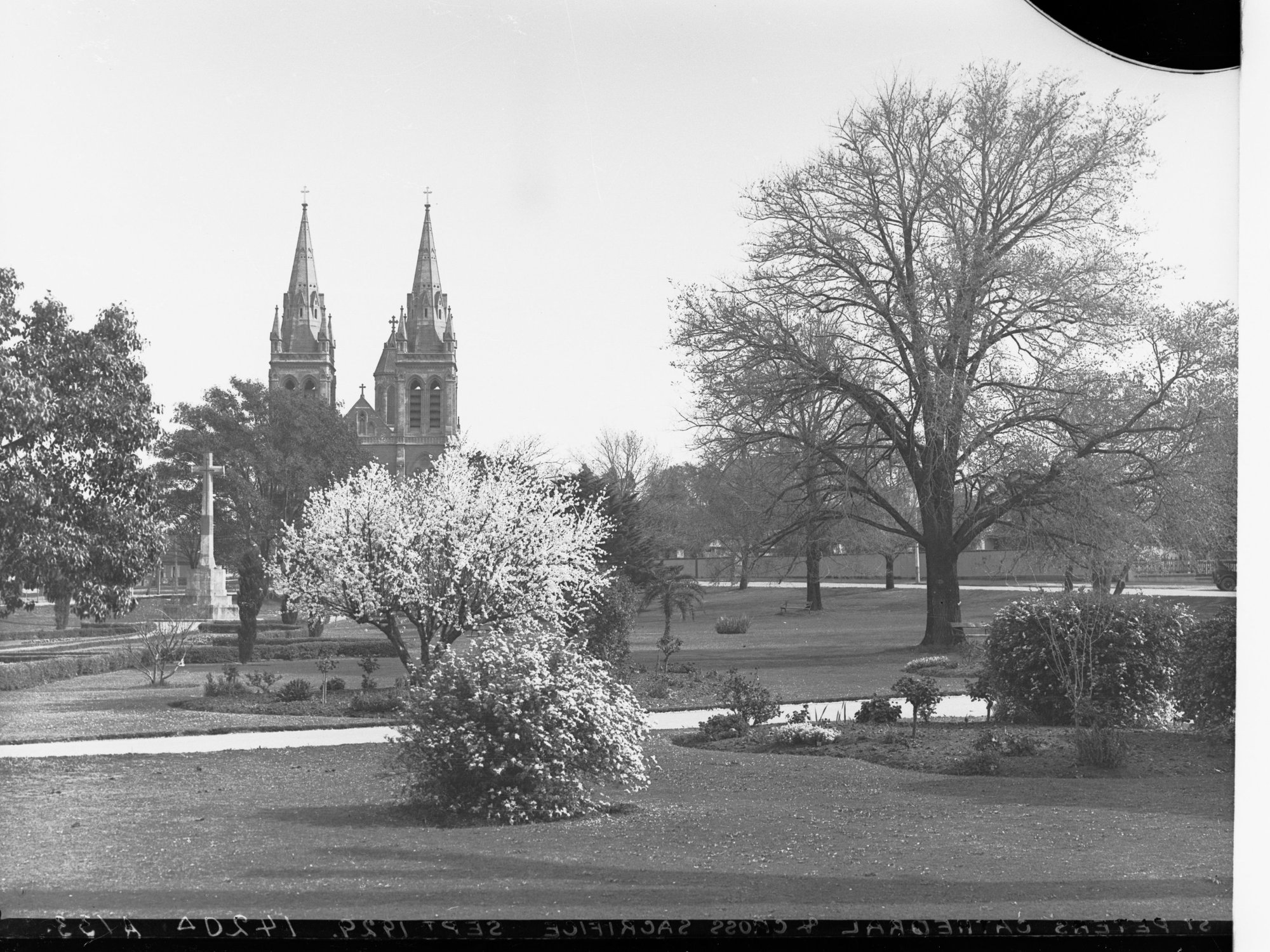 Saint Peters Cathedral
