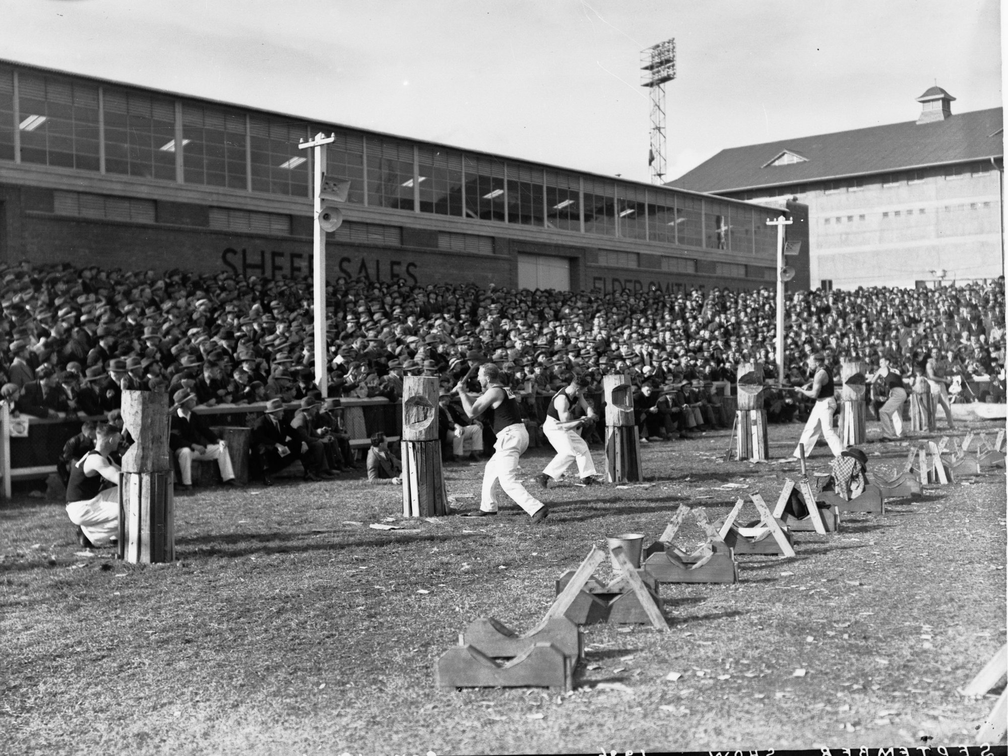 Woodchopping Competition - Royal Adelaide Show