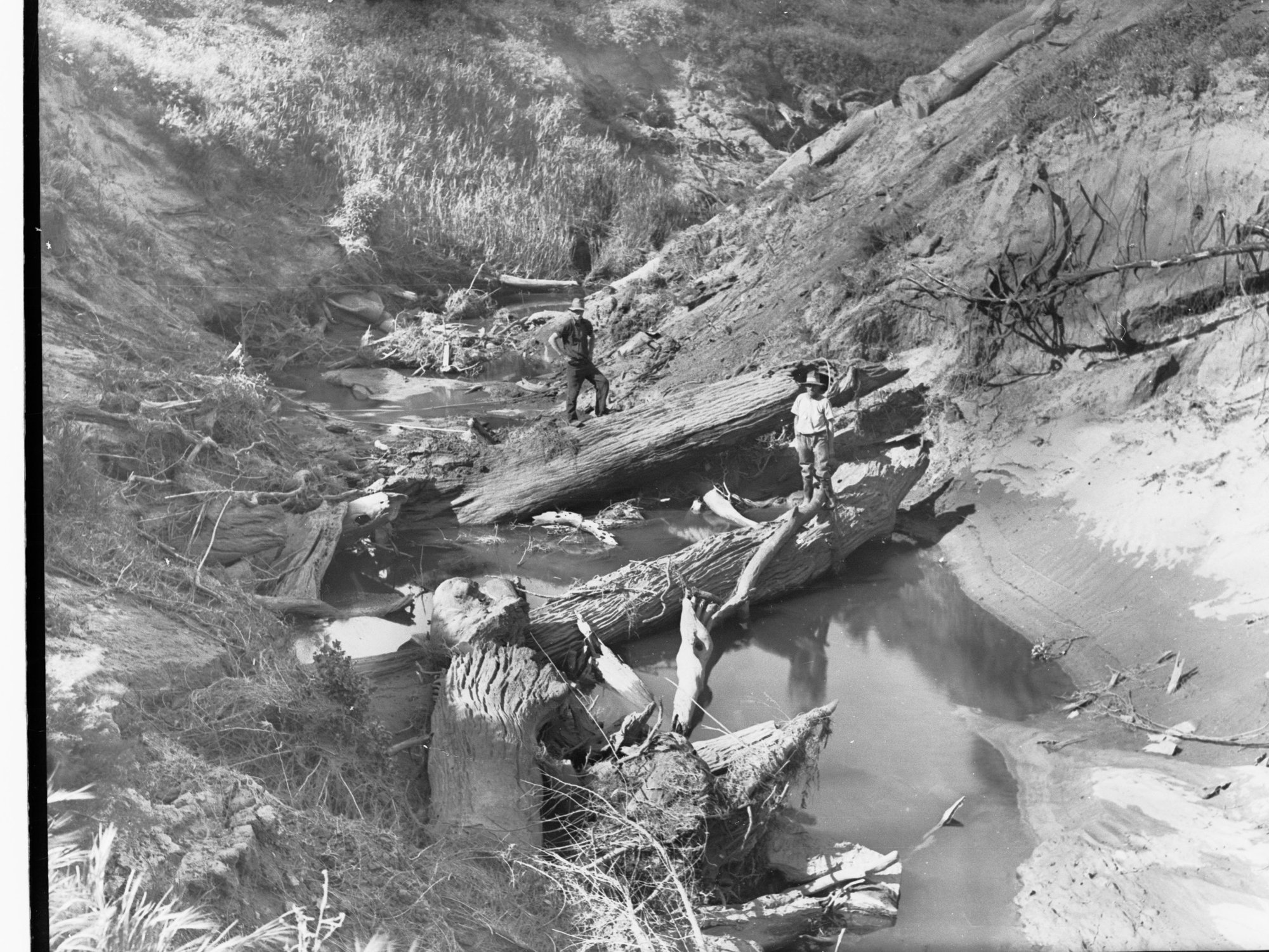 Torrens Floodwater Scheme