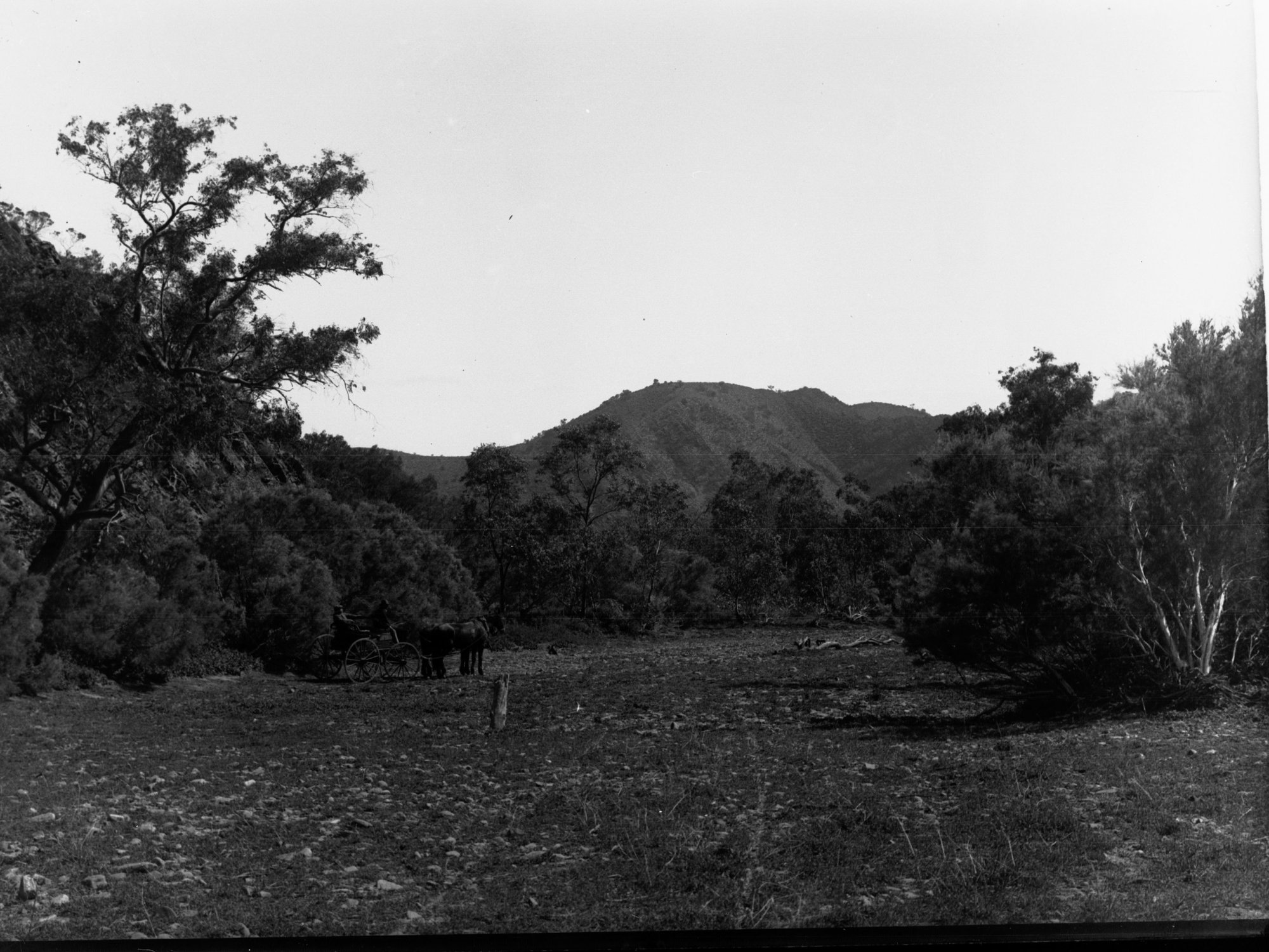 Rural view showing horse and cart with two men in it