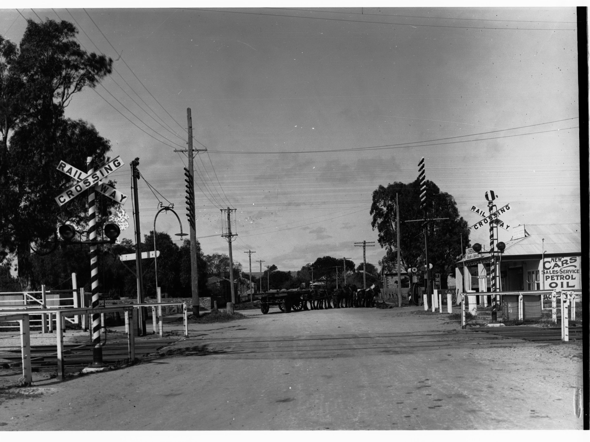 Railway crossing at Salisbury showing horses and wagon