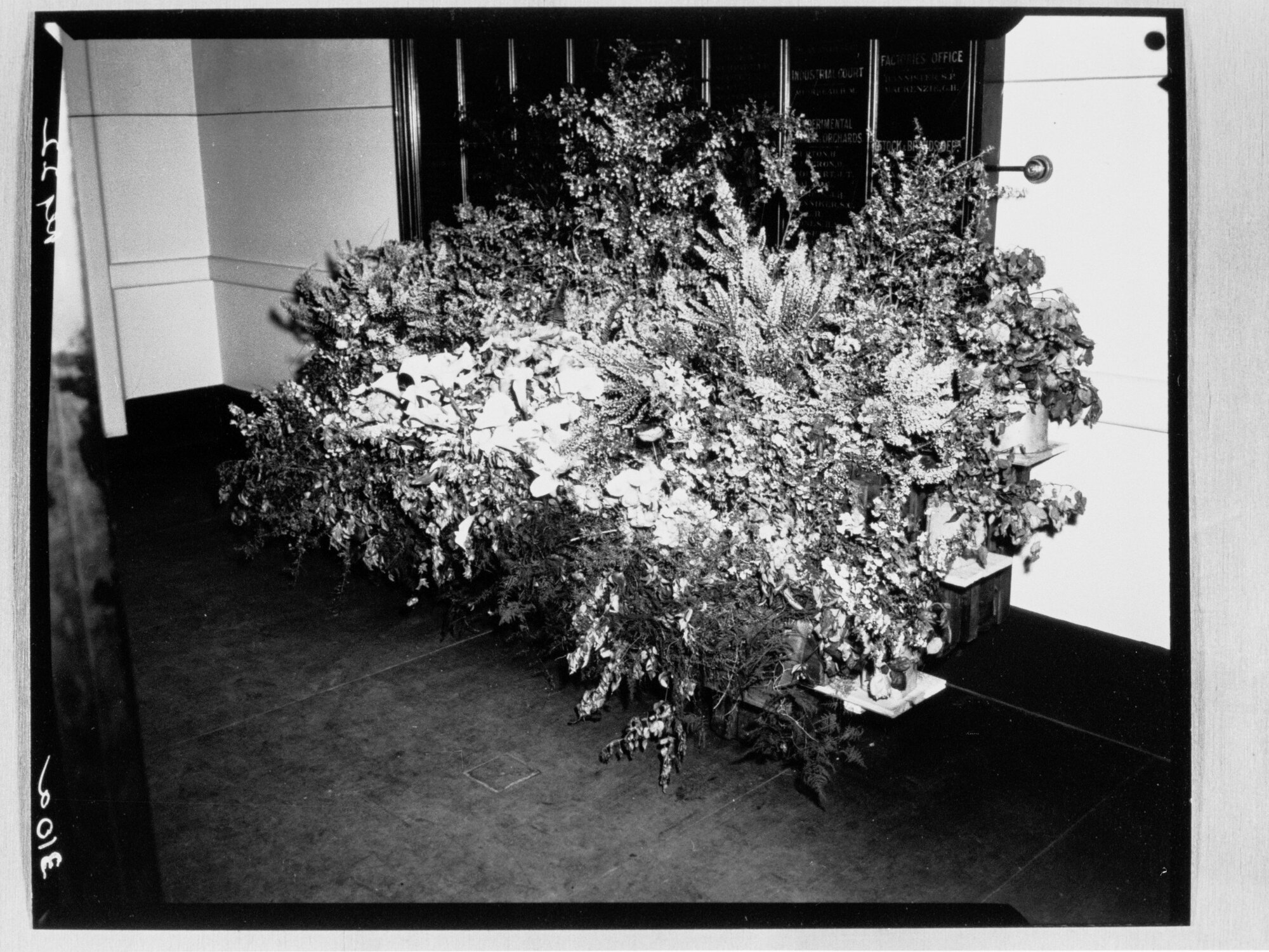 National Flower Day Festival held in Adelaide on the 21st September 1949