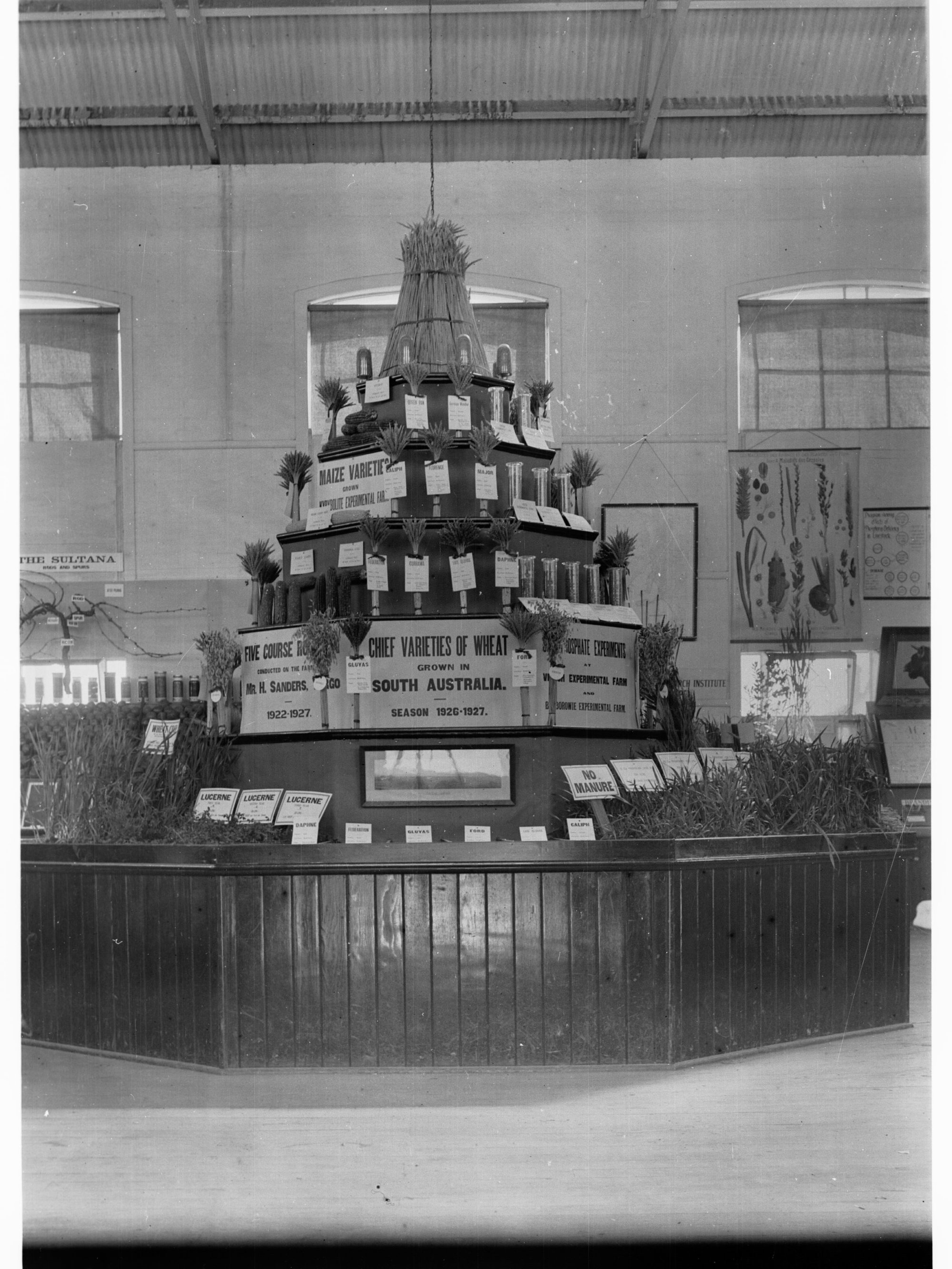 Agricultural Hall, Royal Adelaide Show - Plants display and wool classing