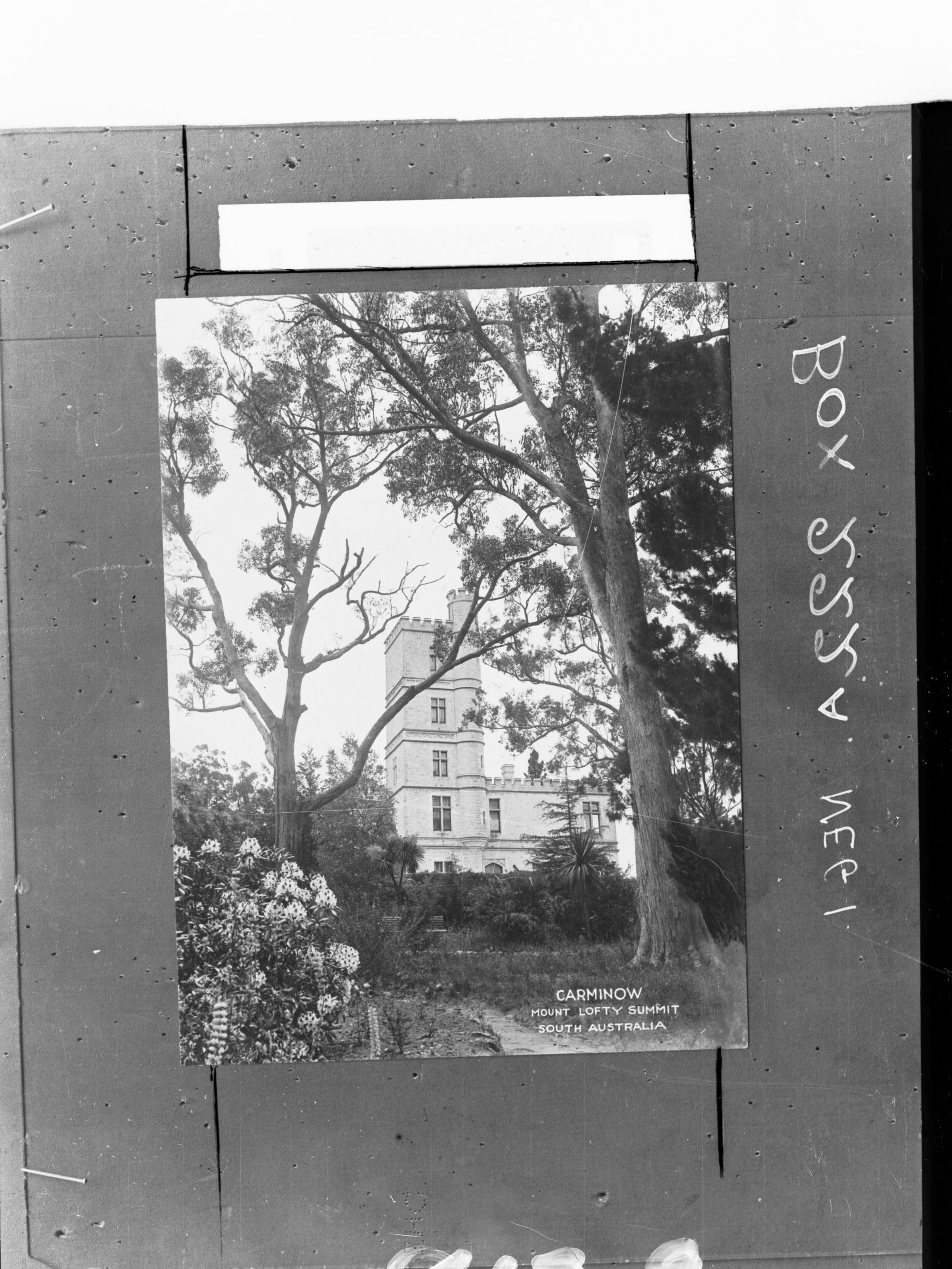 Carminow Moutn Lofty Summit