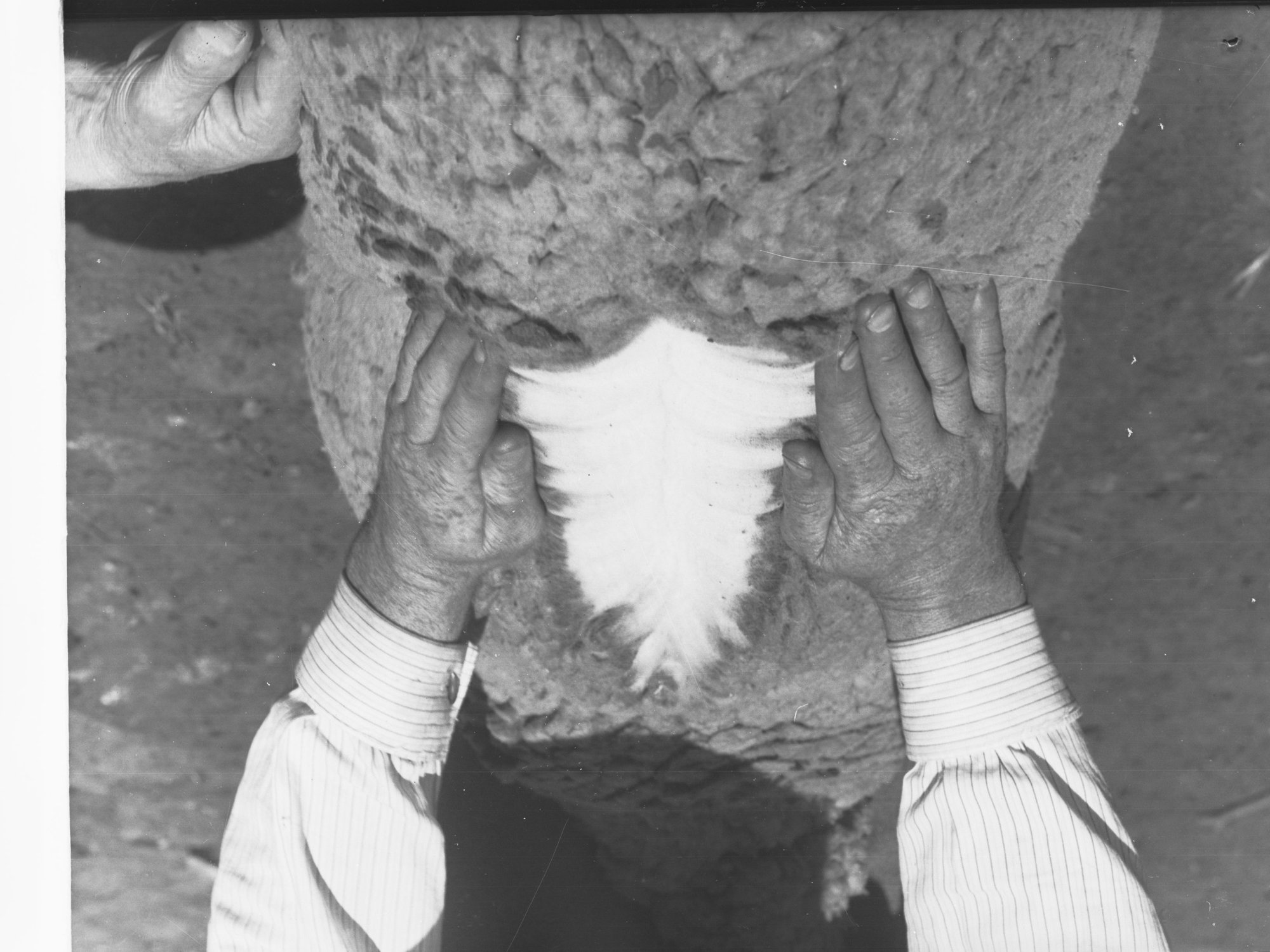 Agricultural Department Turretfield