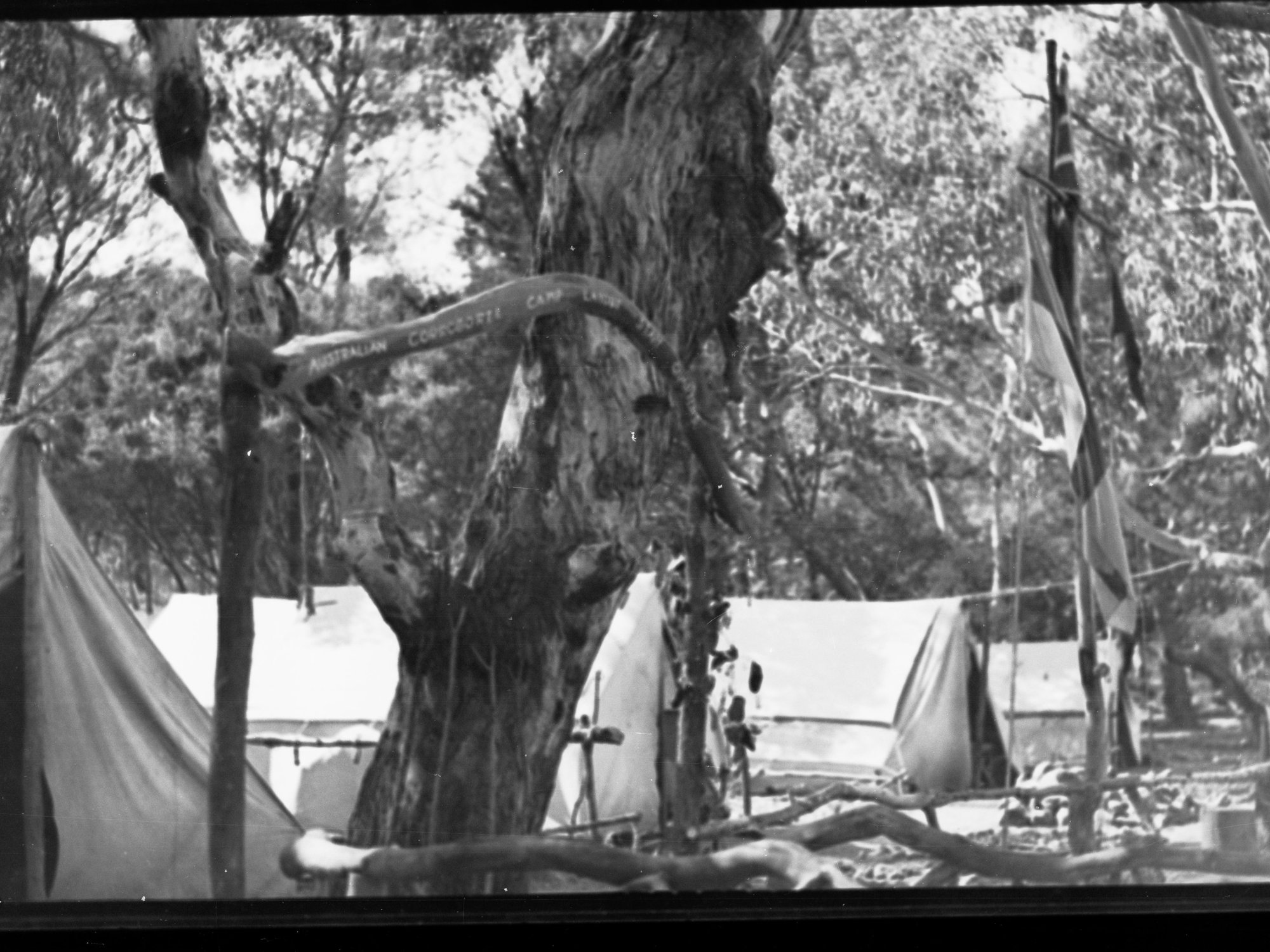 Boy Scout camp at Belair showing tents