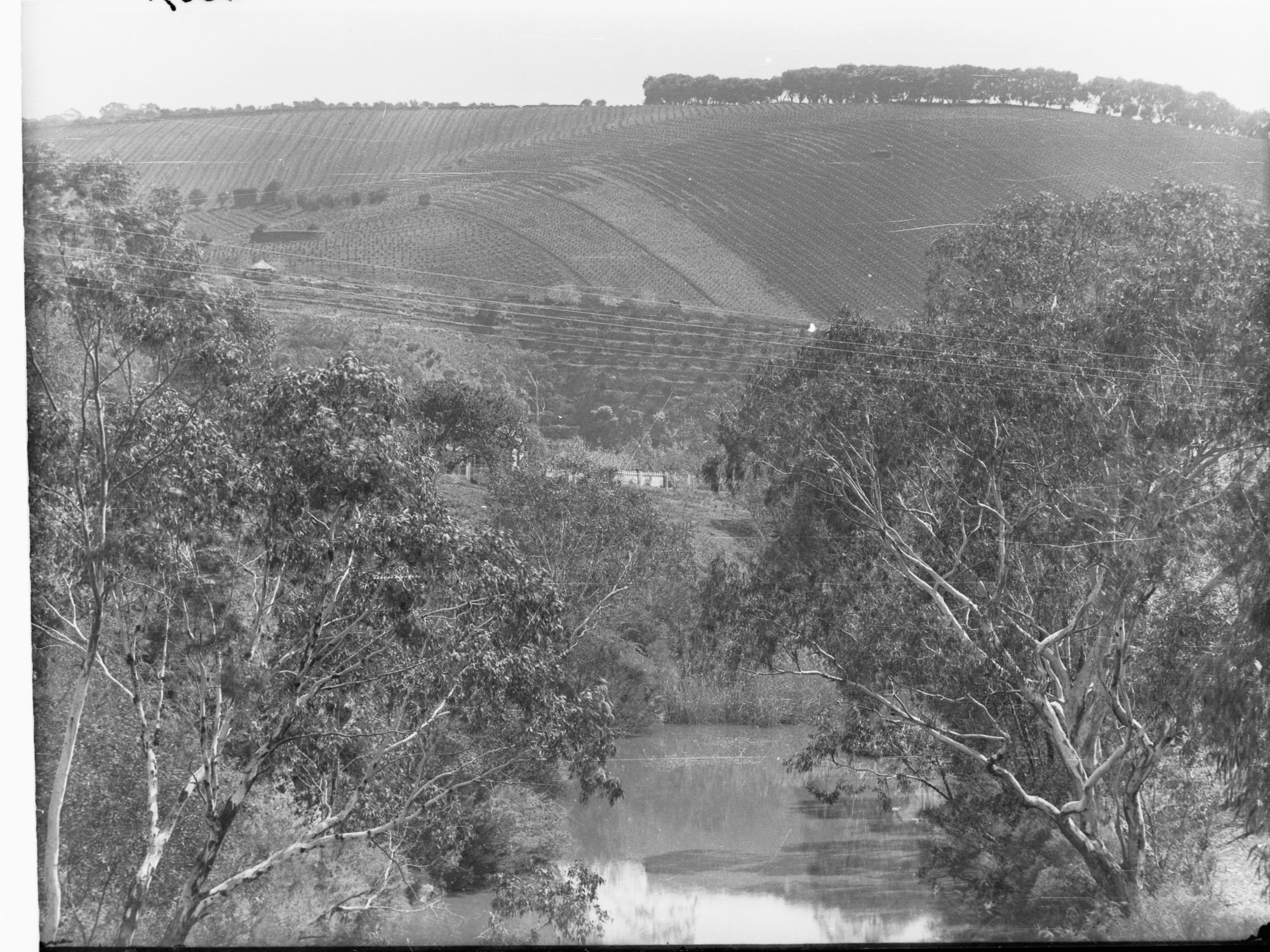 Mount Lofty Ranges, View at Clarendon