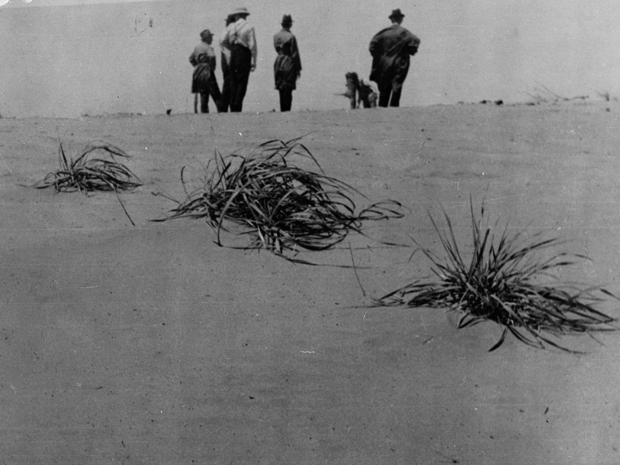 Men Standing on a Sand Dune