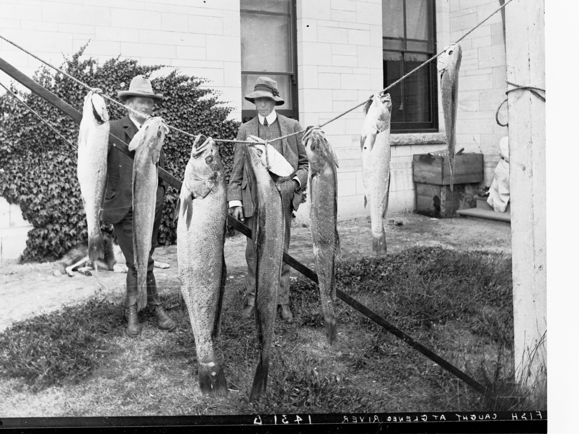 Fish Caught at Glenelg River