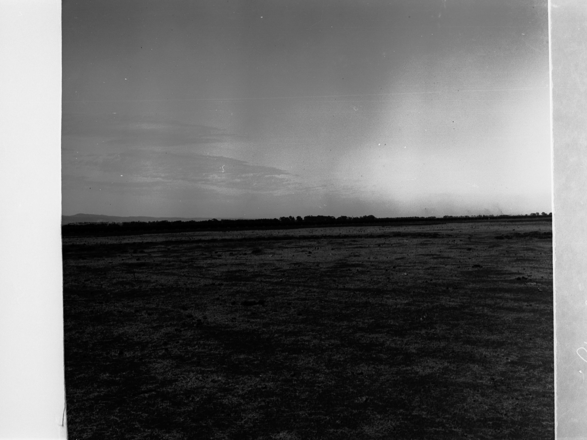 Stock Train at Dry Creek