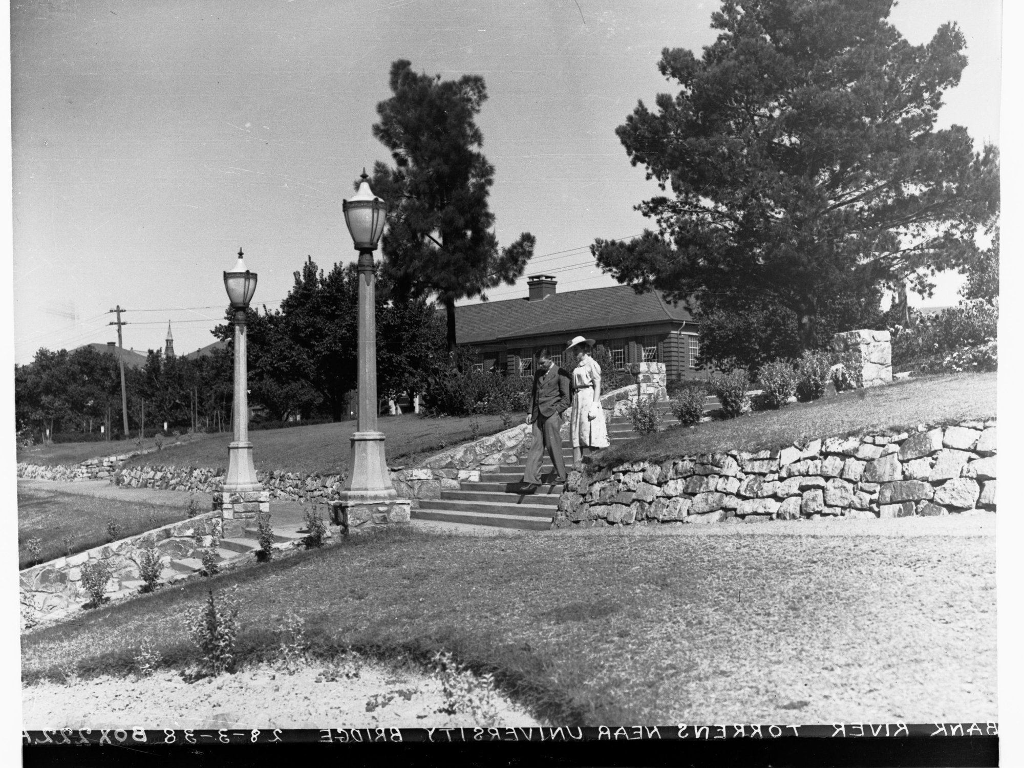 Bank of the River Torrens near University Bridge