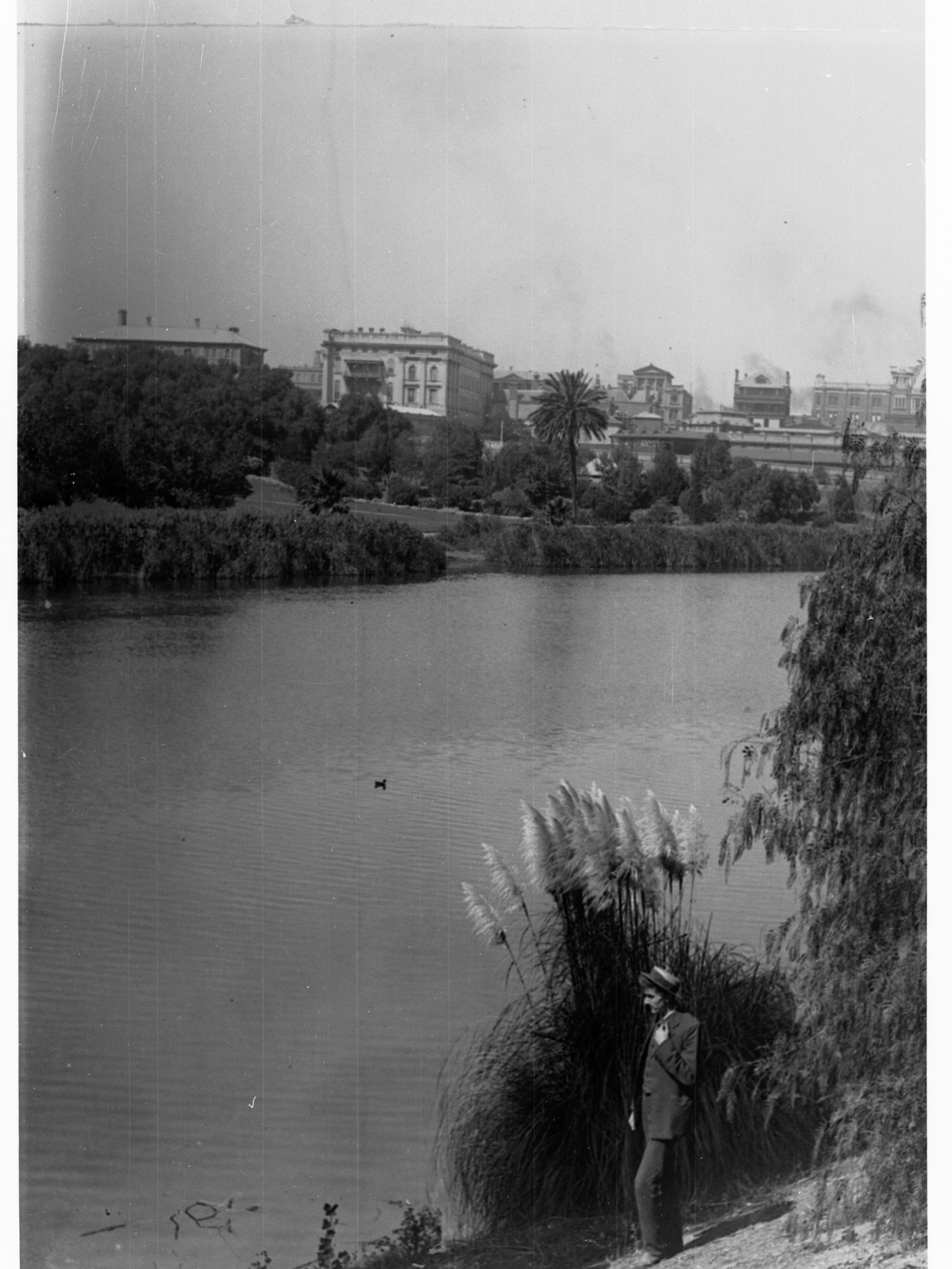 River Torrens showing man standing on bank