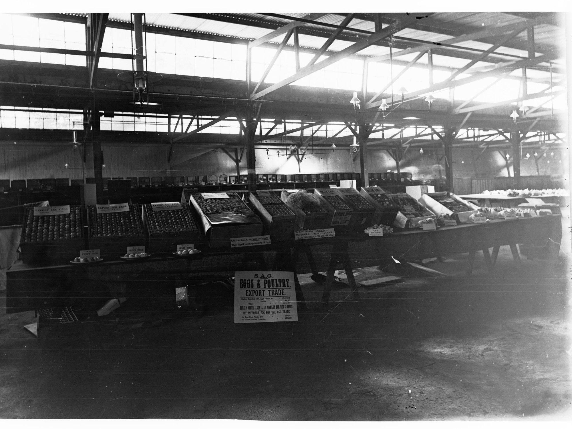 Eggs and Poultry Exhibition