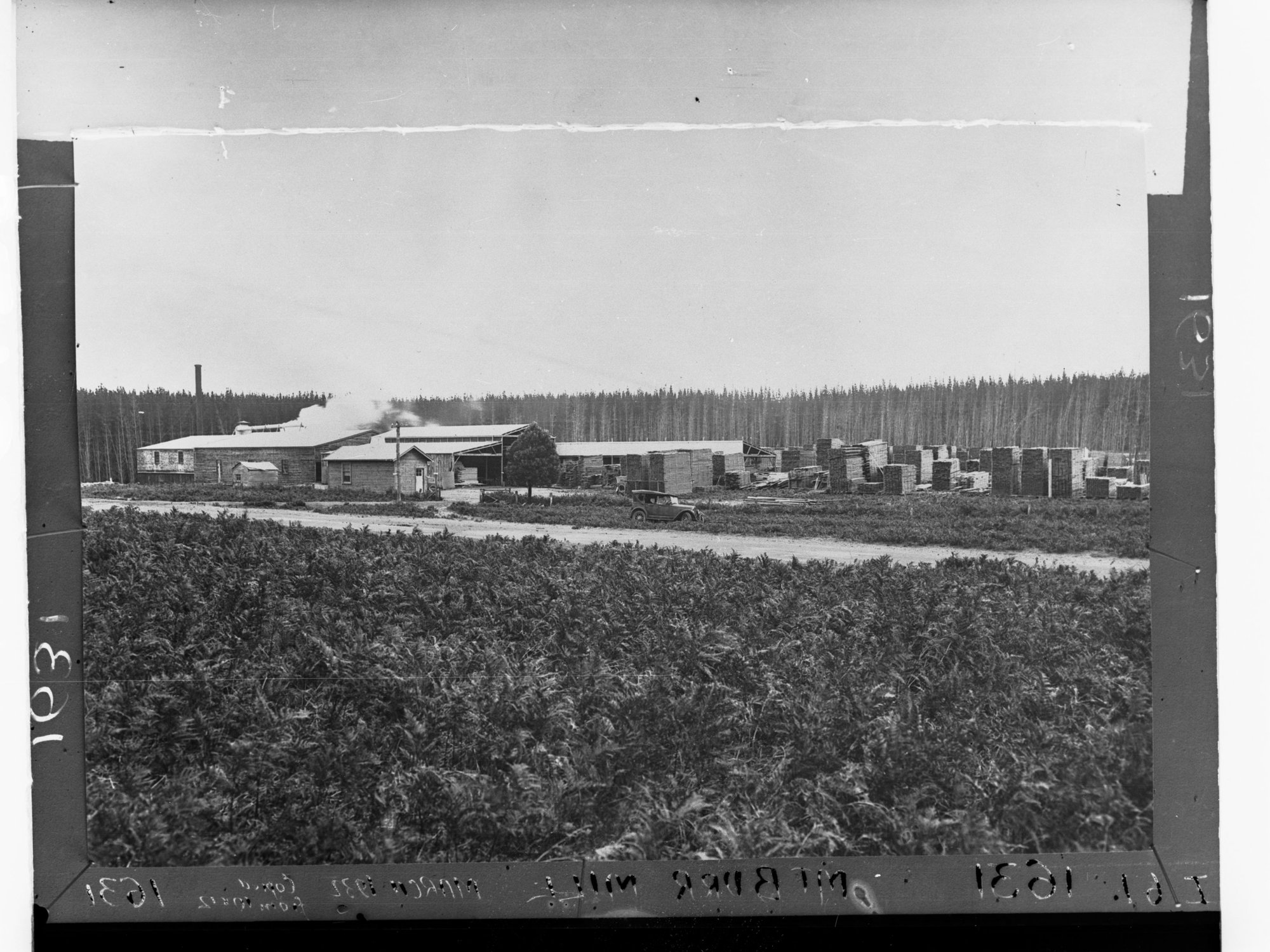 Mount Burr Mill Showing Pine Forest in the Background