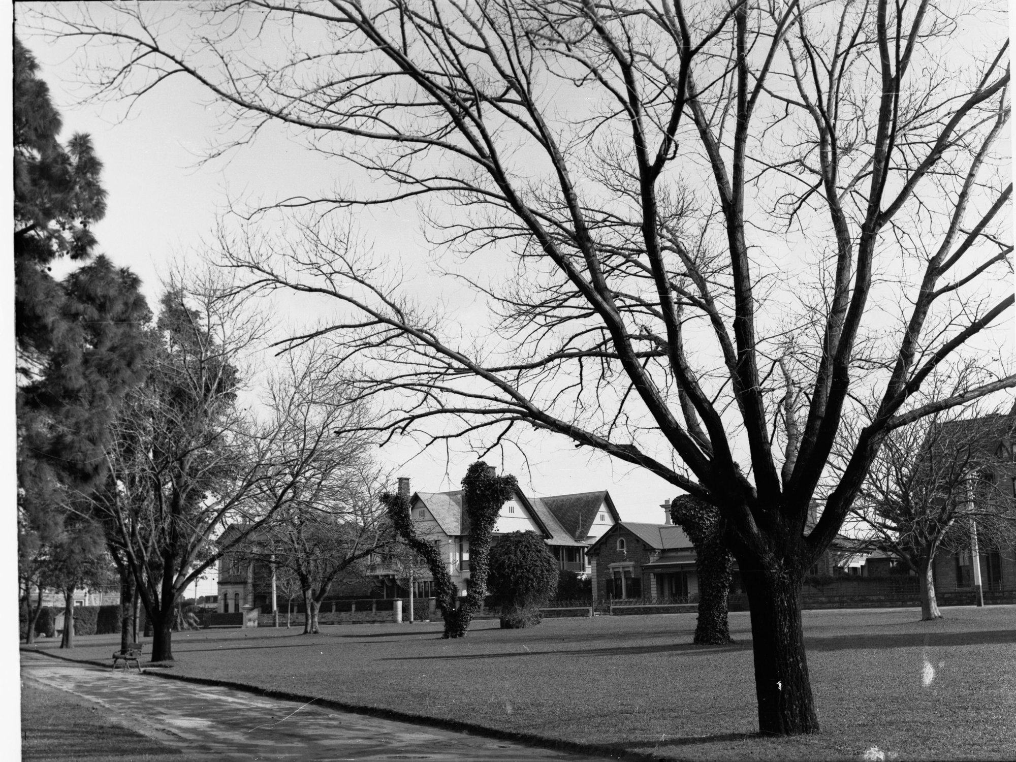 Brougham Place Gardens