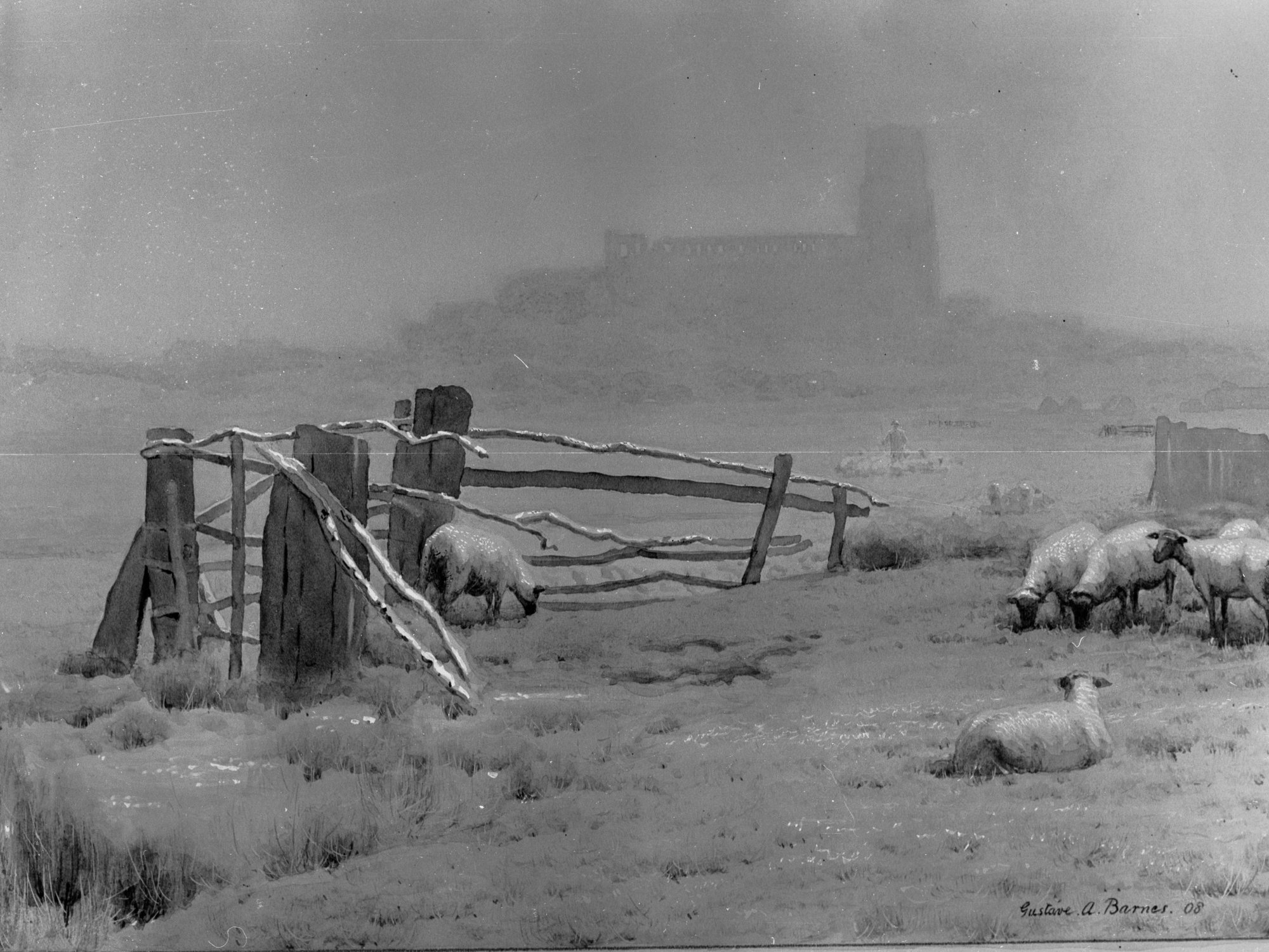 Sheep in field - painting by Gustave A Barnes