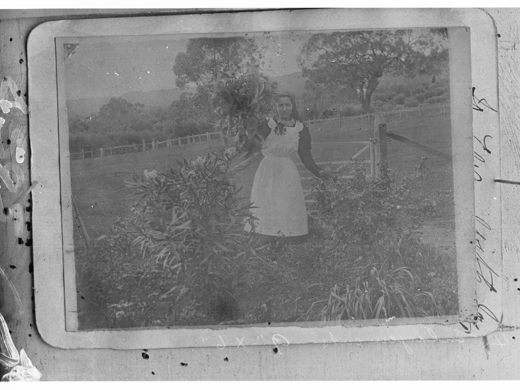 Young Girl in Garden
