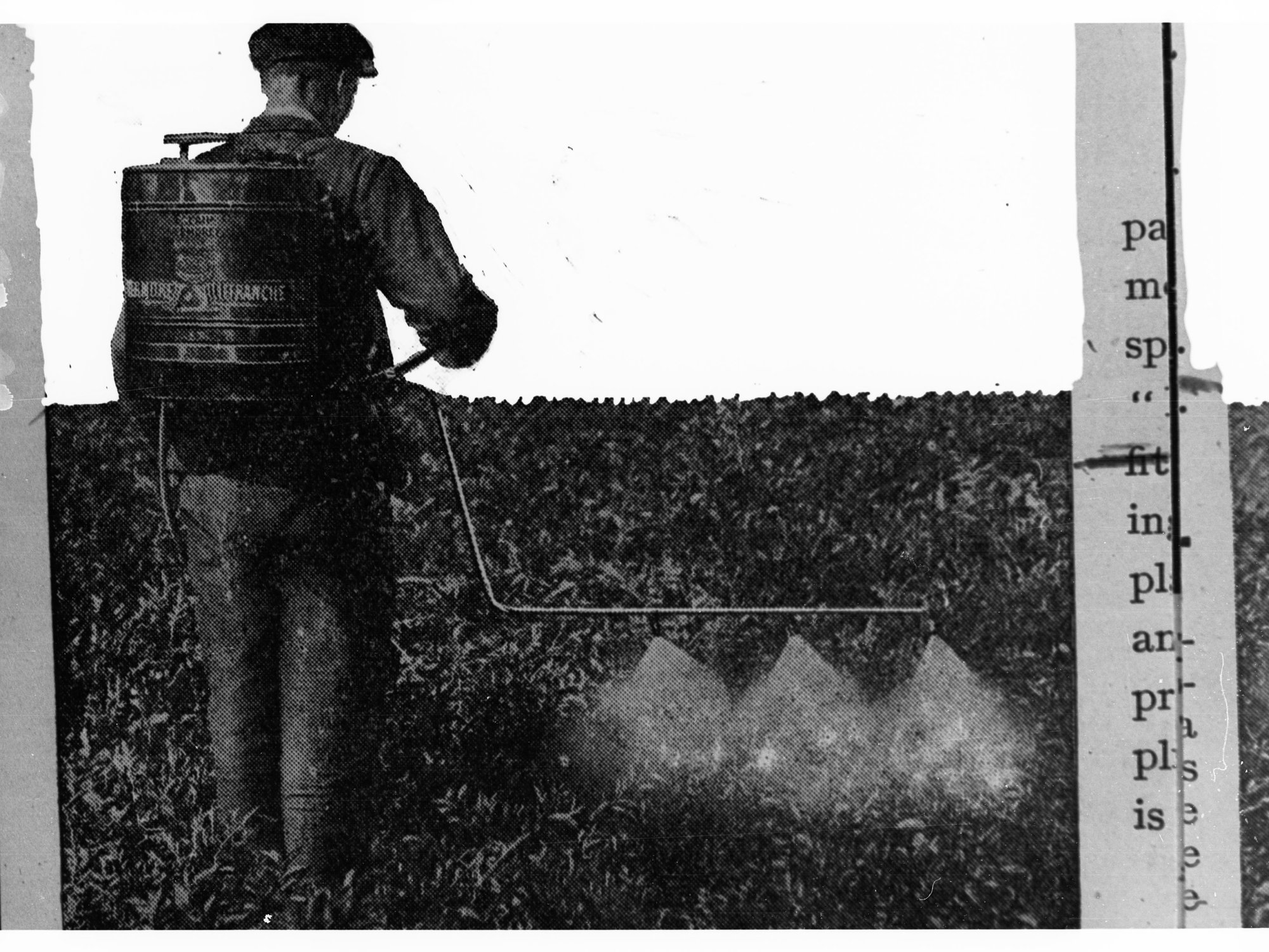 Man Dusting Crops with Chemicals