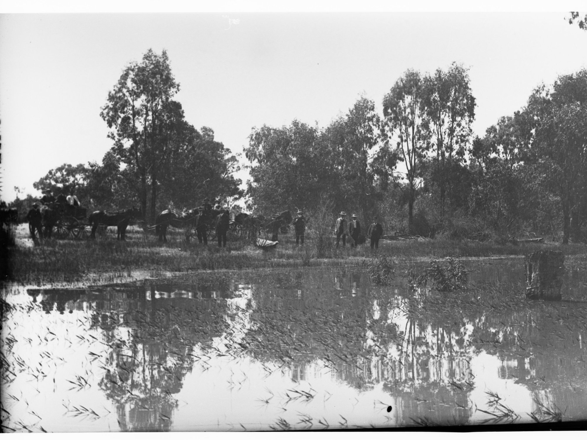 Horses and carts on bank of Lake Bonney  - Parliamentary Tour of River Murray