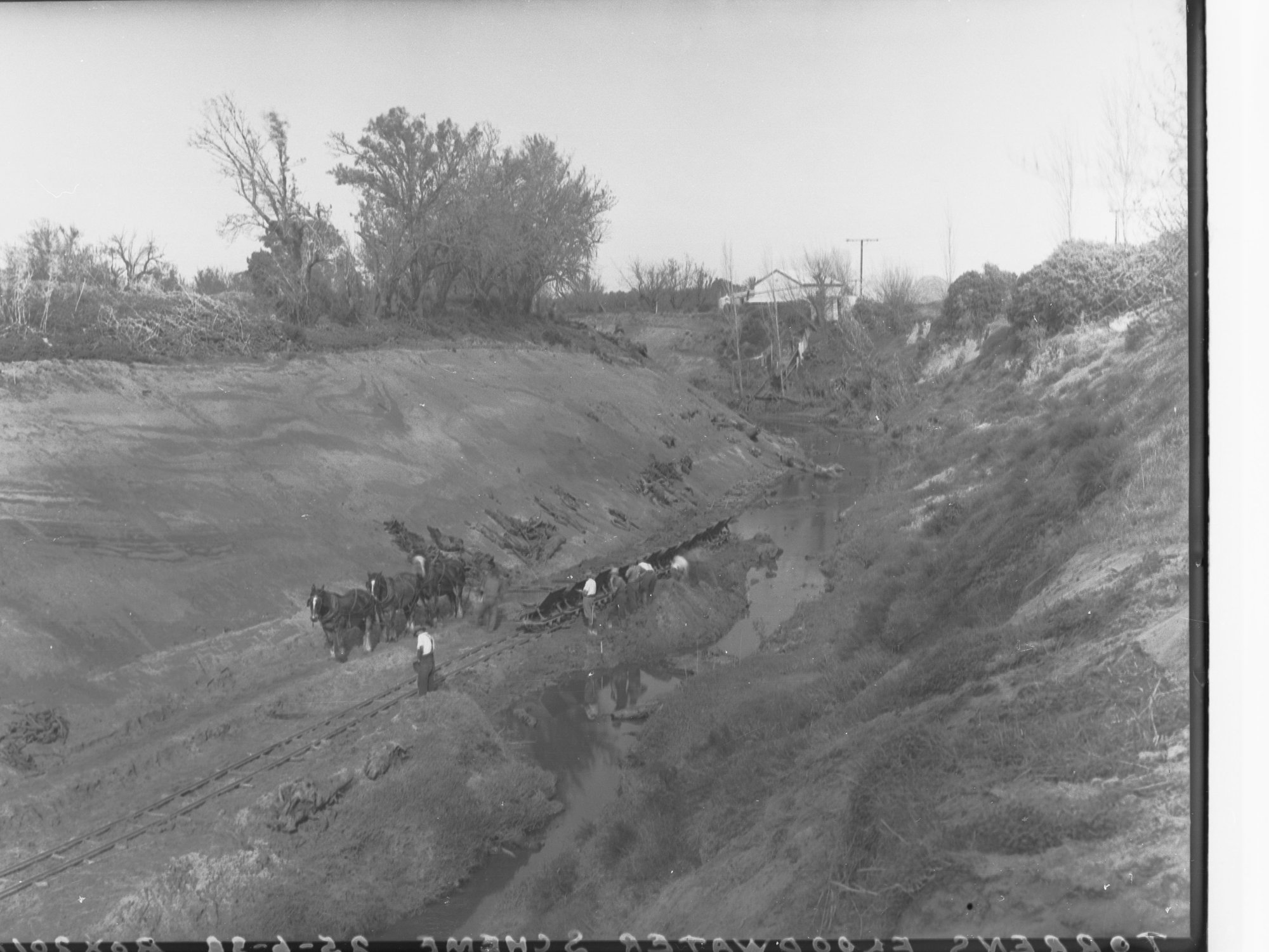 Torrens Floodwater Scheme showing draught horses and workers