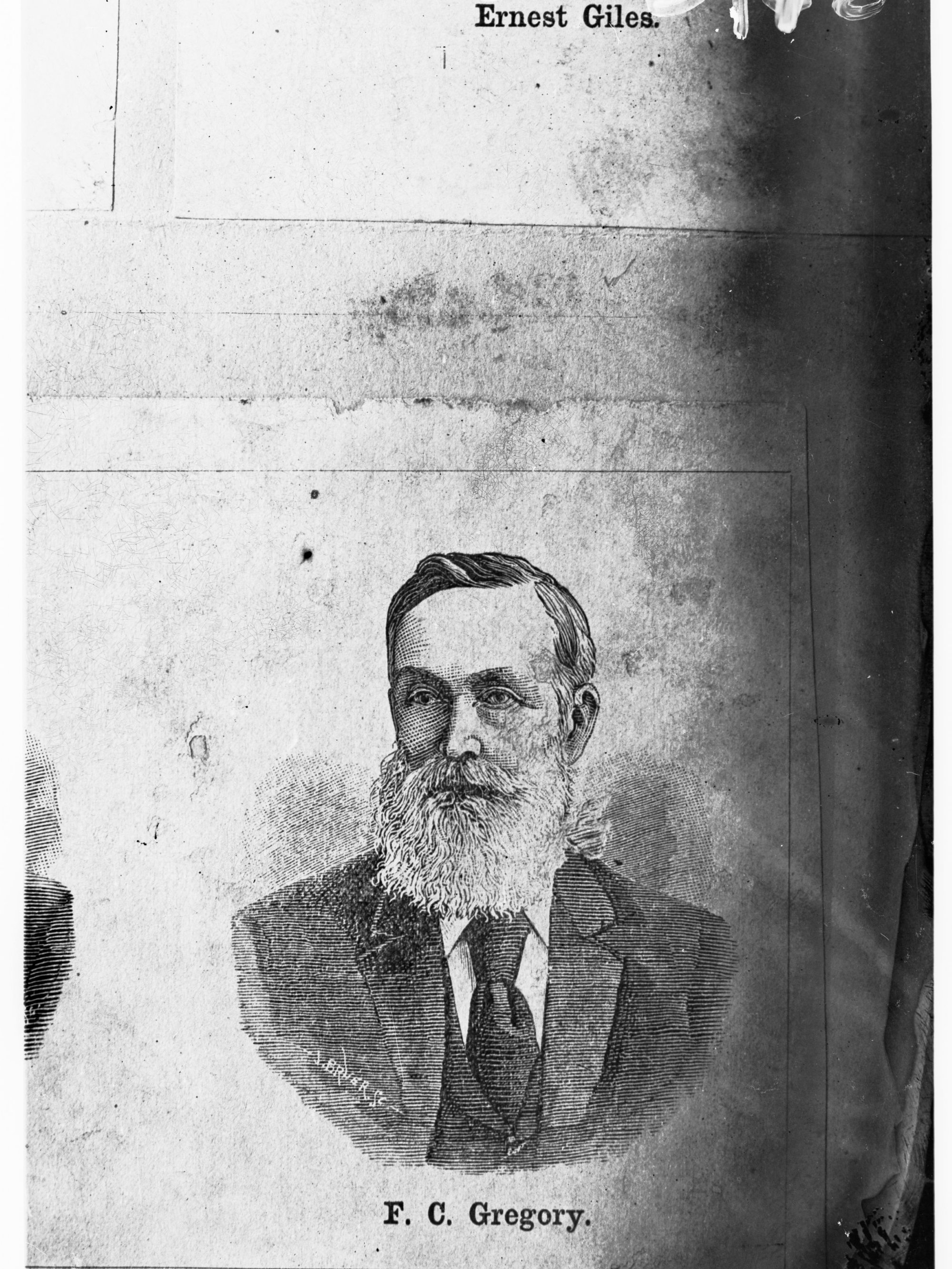 Portrait of Francis Thomas Gregory - explorer