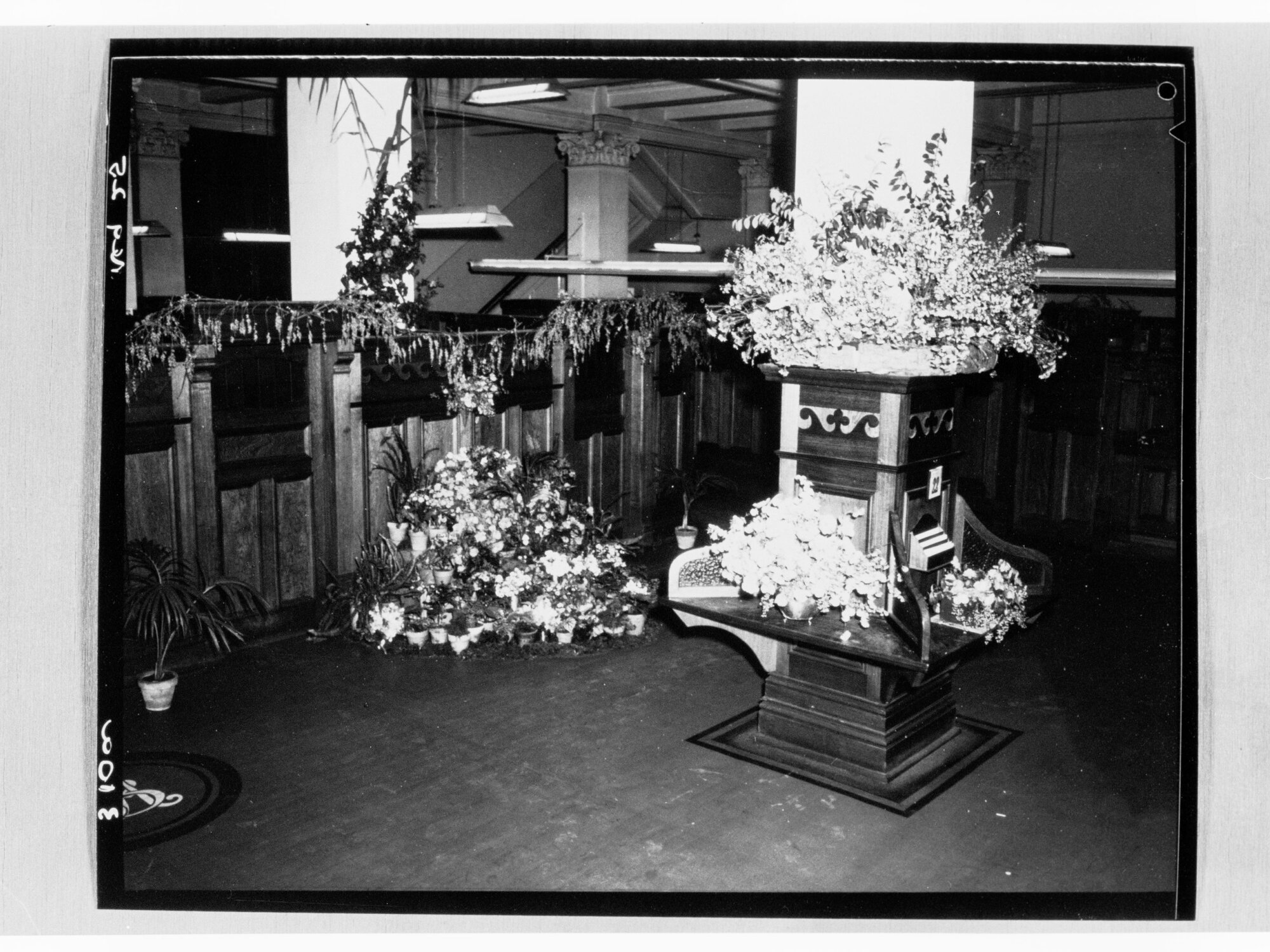 National Flower Day Festival held in Adelaide on the 21st September 1949