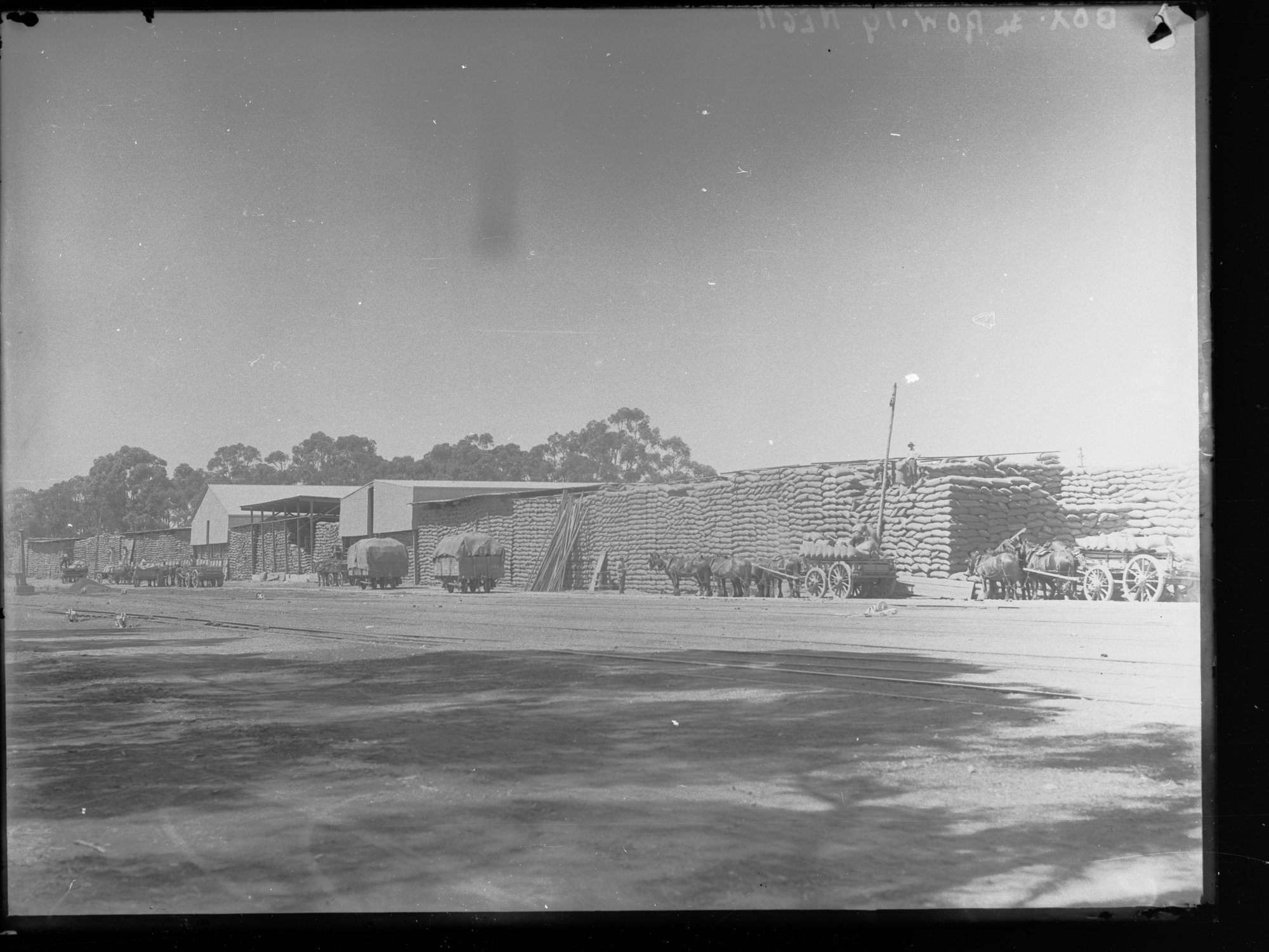 Jamestown Wheat Stacks