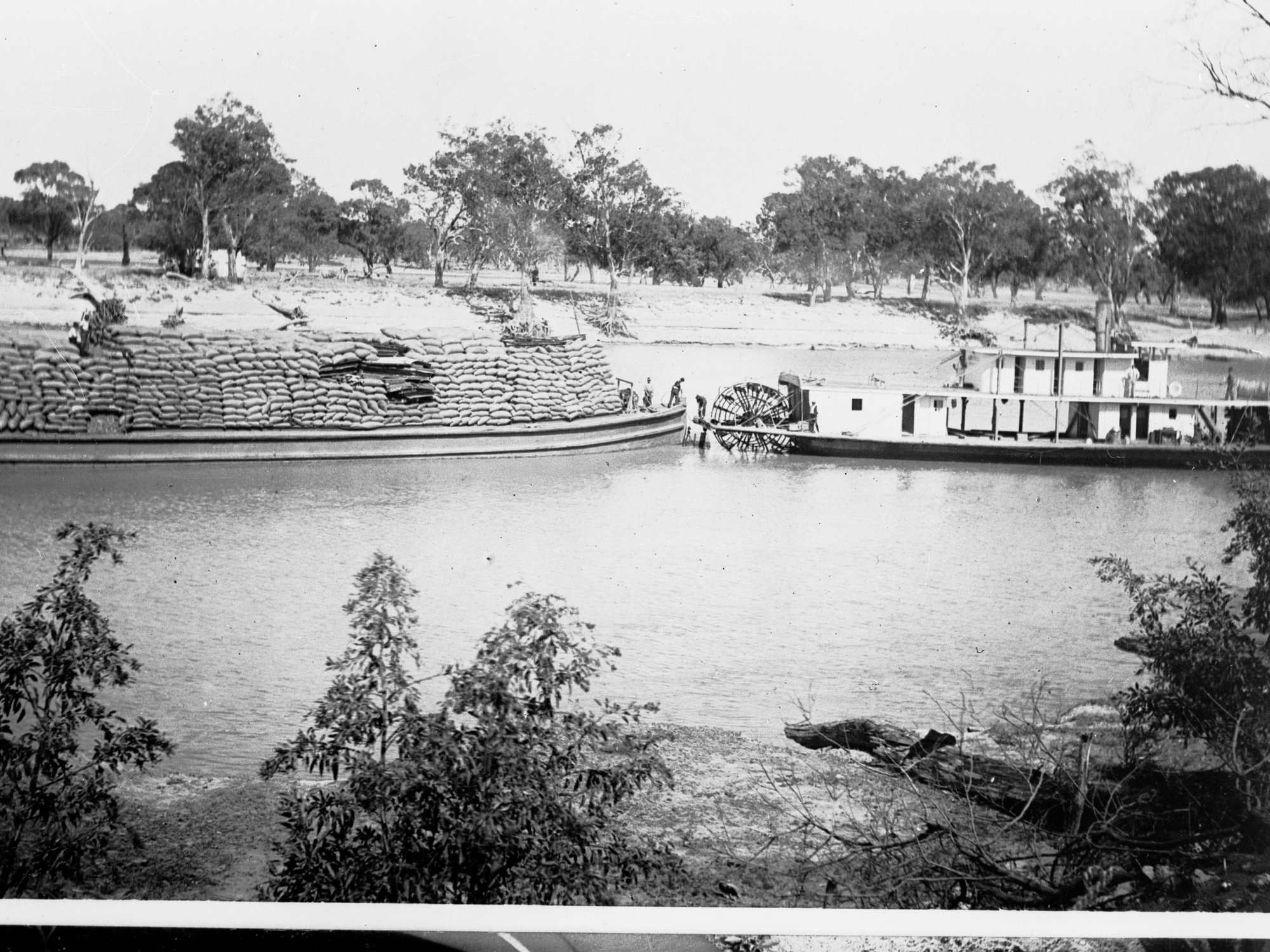Paddlesteamer "Corowa" and barge loaded with wheat