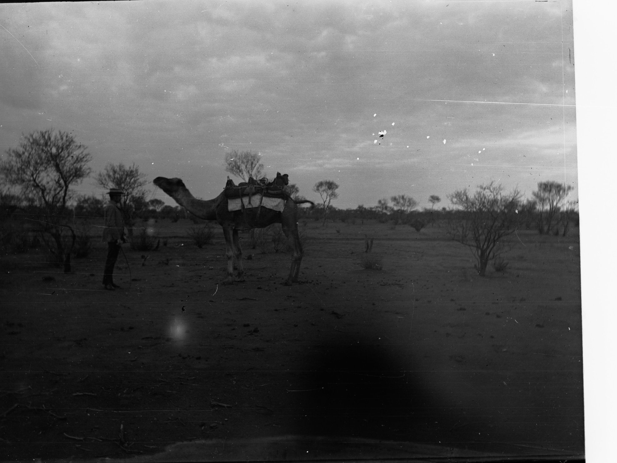 Man and a Camel Elder Scientific Expedition